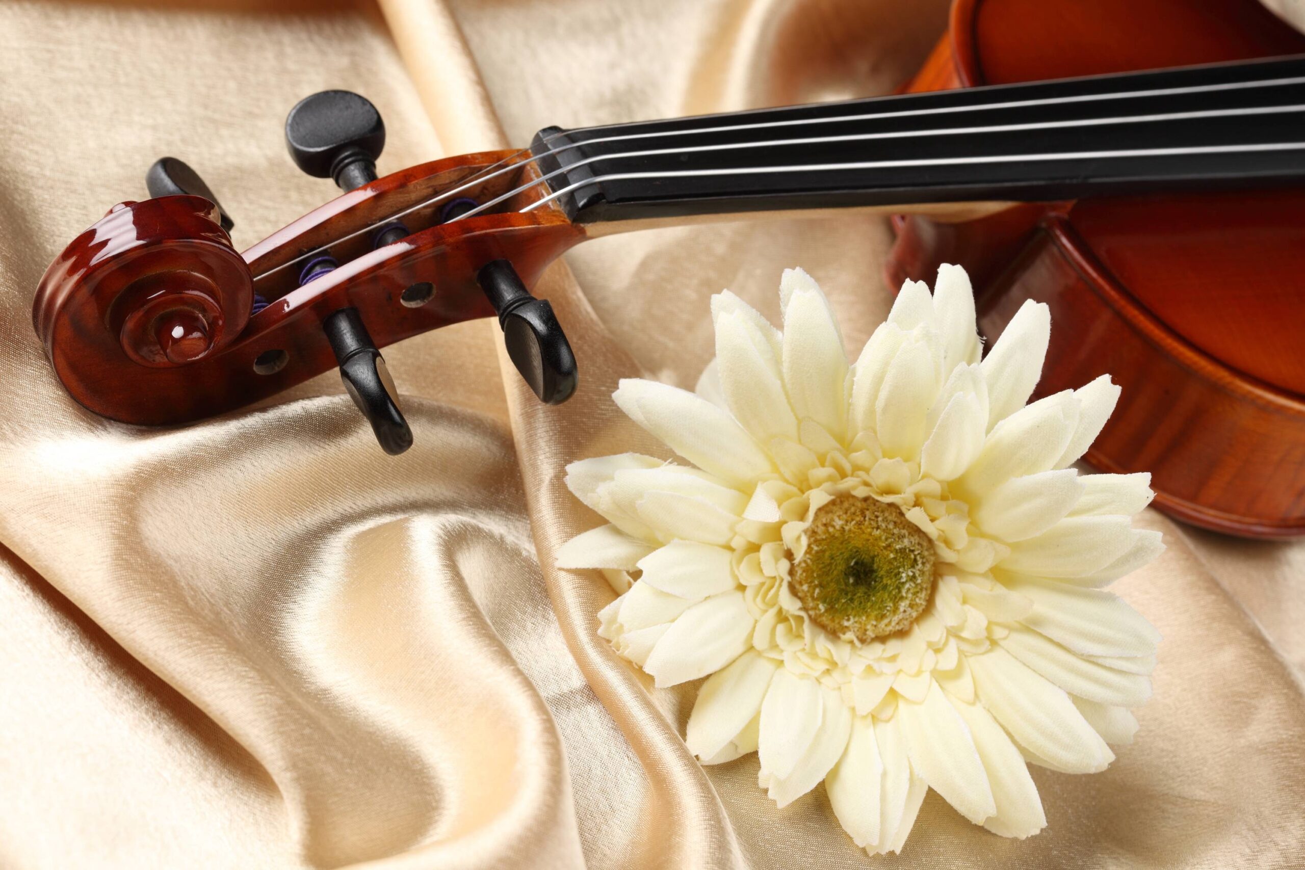 Violin Computer Wallpapers, Desktop Backgrounds Id: 102390