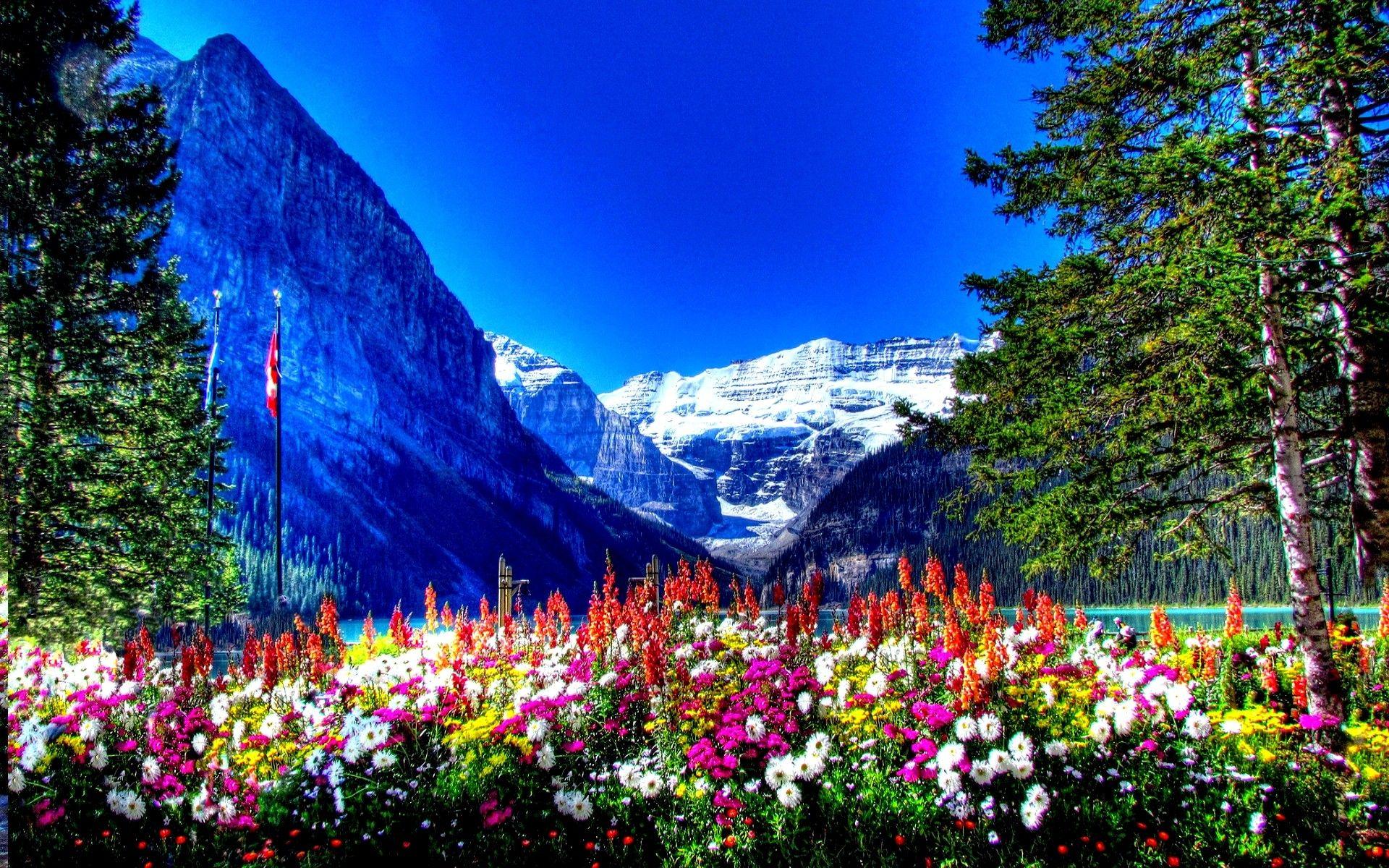 Amusement Parks: BANFF NATIONAL PARK CANADA Flowers Mountains Full