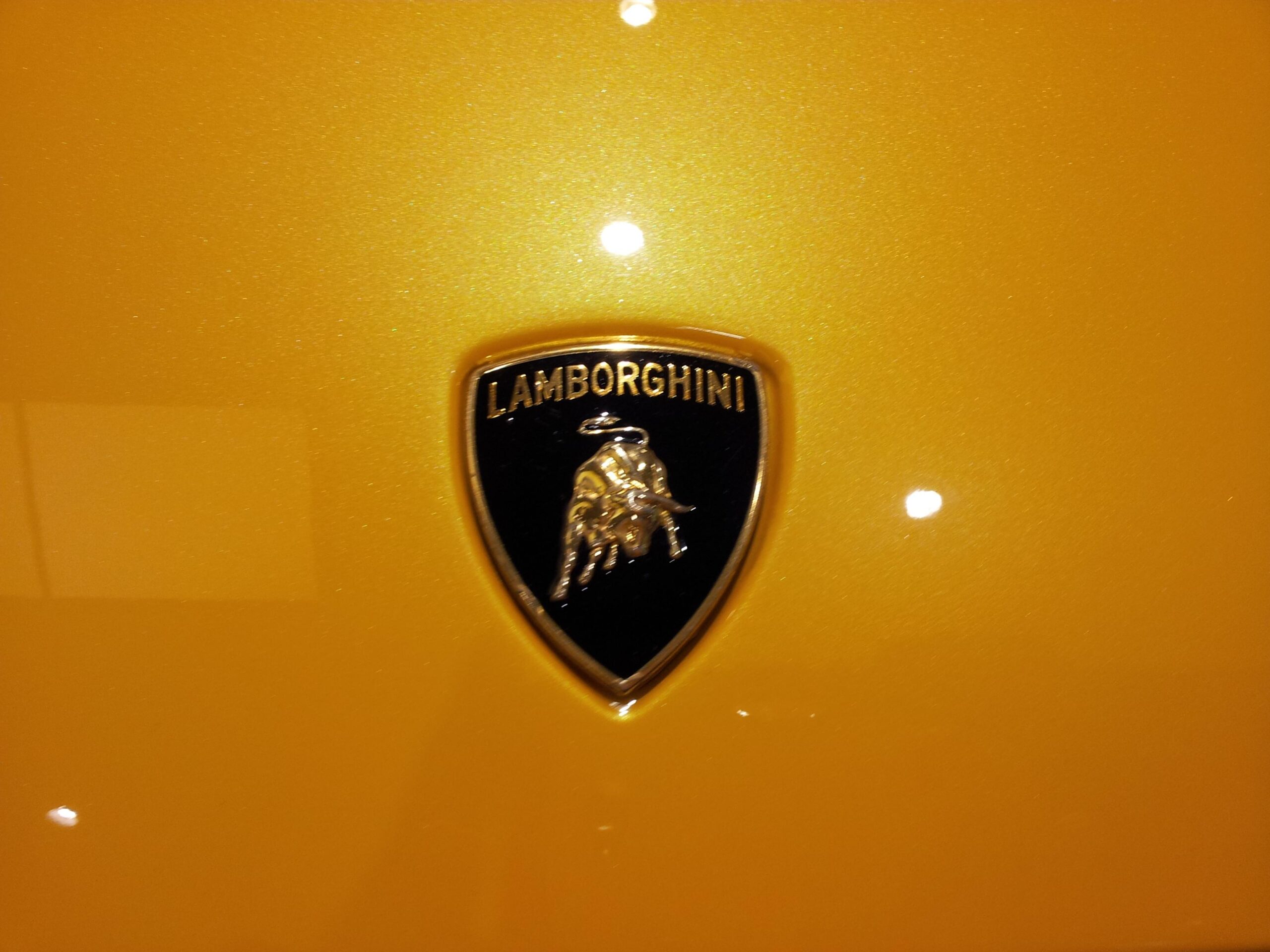 Wallpapers For > Lamborghini Logo Hd Wallpapers