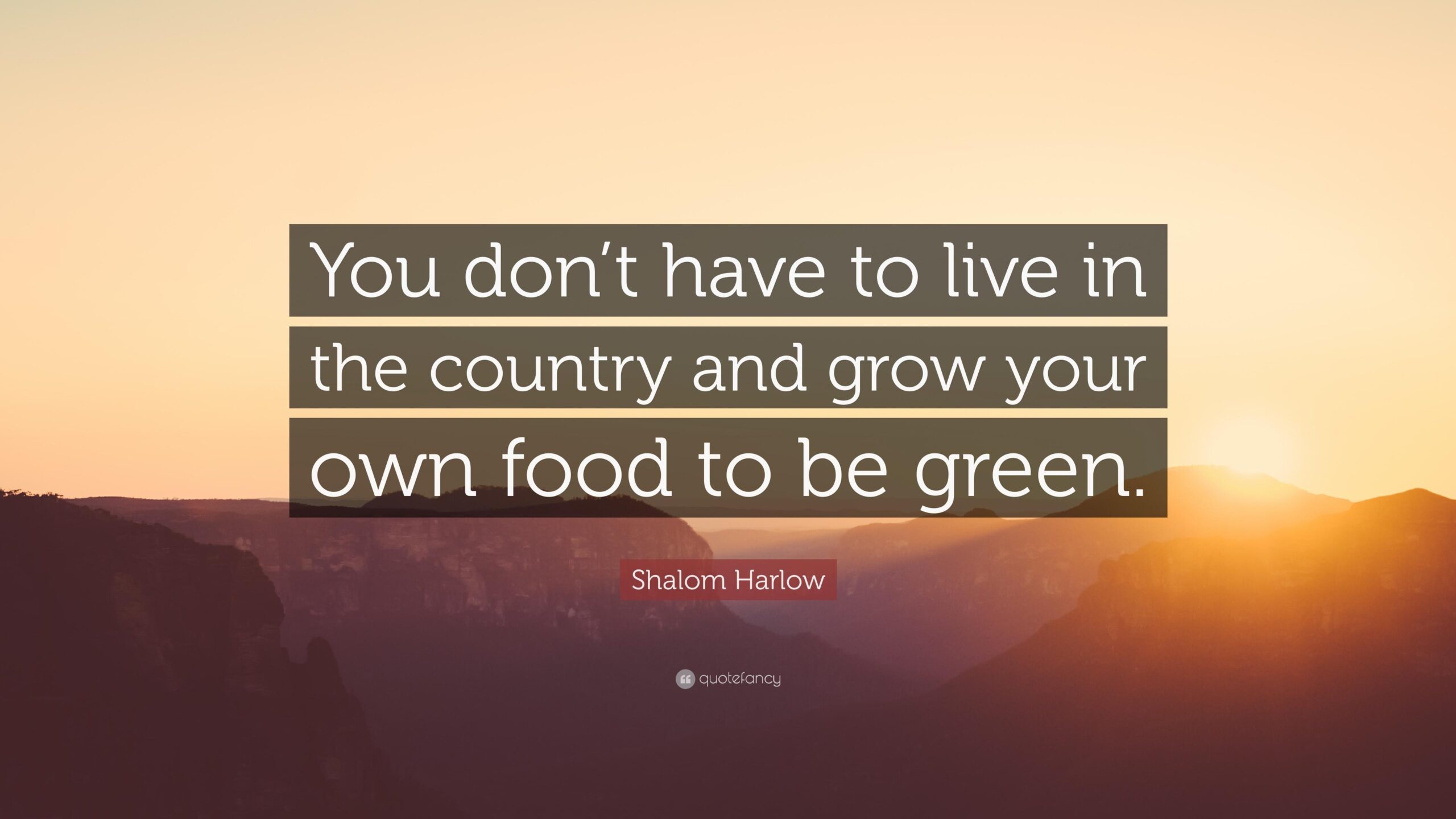 Shalom Harlow Quote: “You don’t have to live in the country and grow