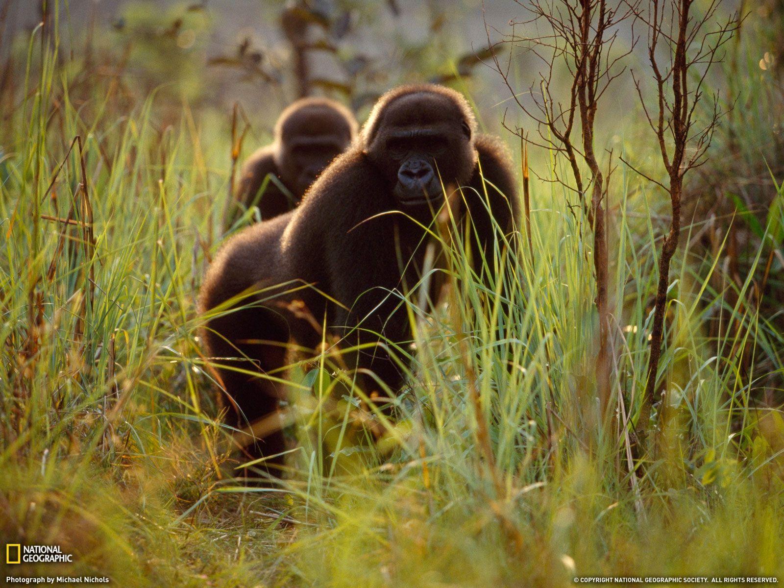 Some of the Best Photos From National Geographic