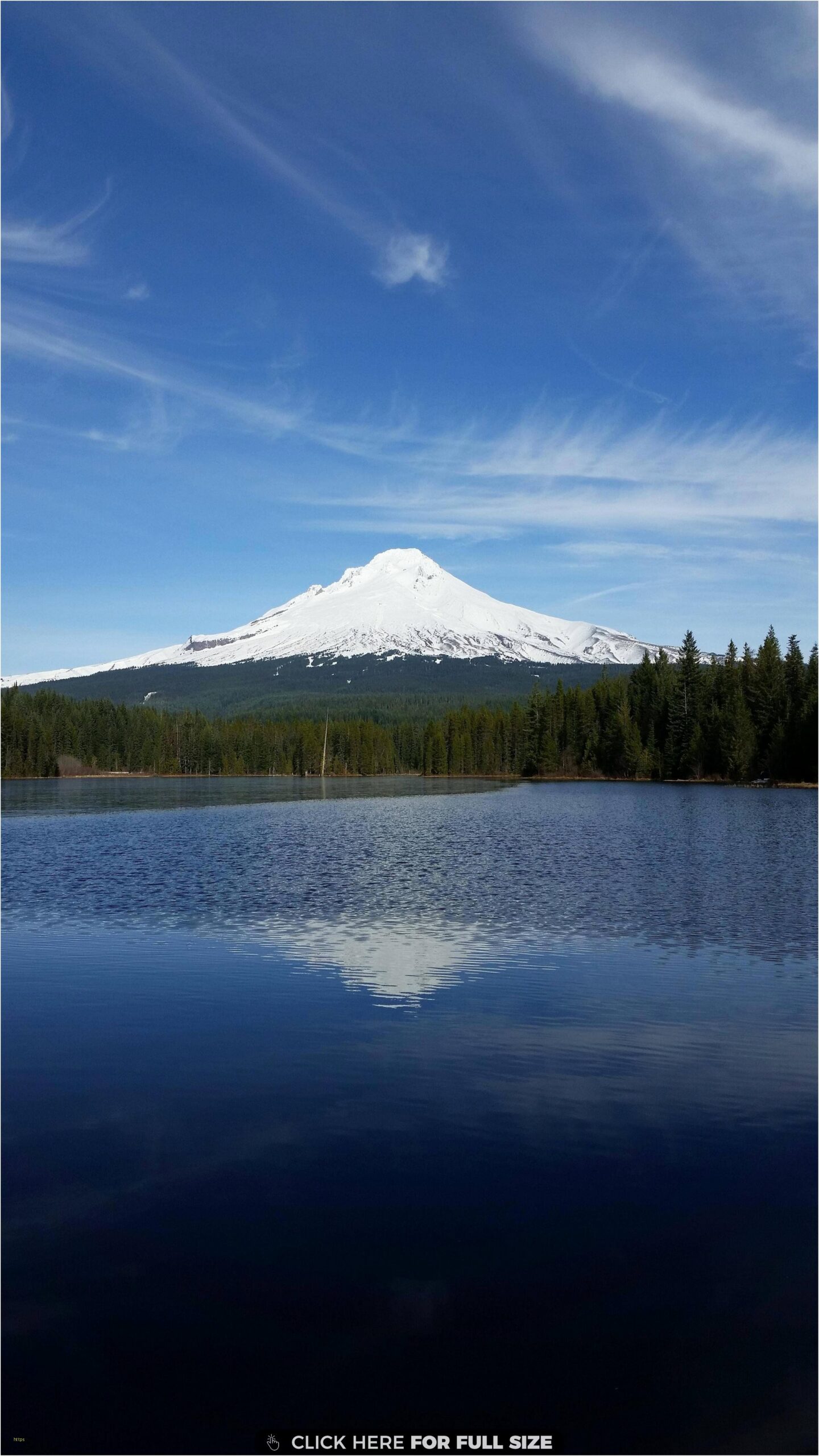 Lovely oregon Wallpapers