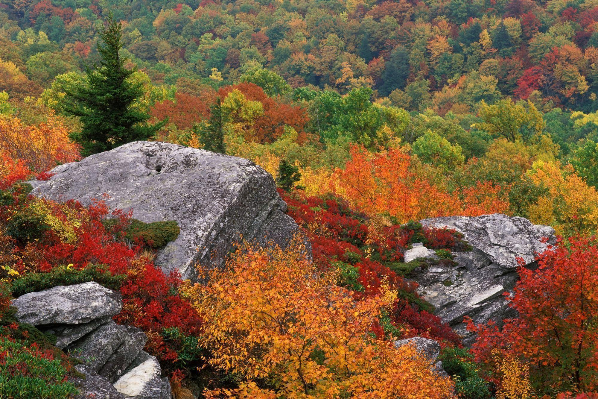 Blue Ridge Parkway North Carolina Autumn HD desktop wallpapers