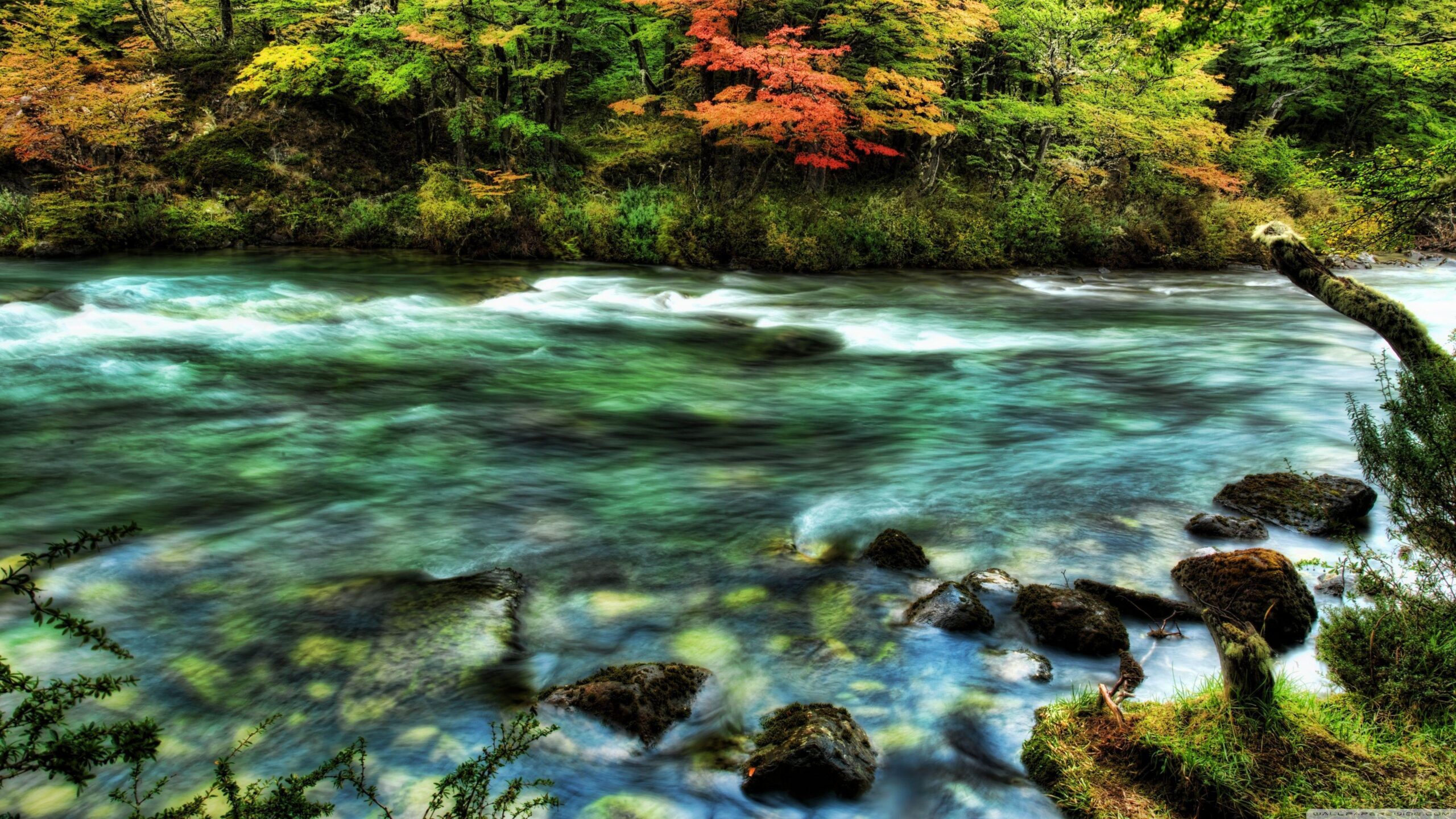 River In Patagonia HD desktop wallpapers : High Definition