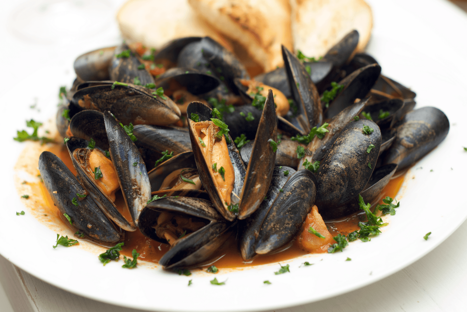 Mussels wallpapers, Food, HQ Mussels pictures