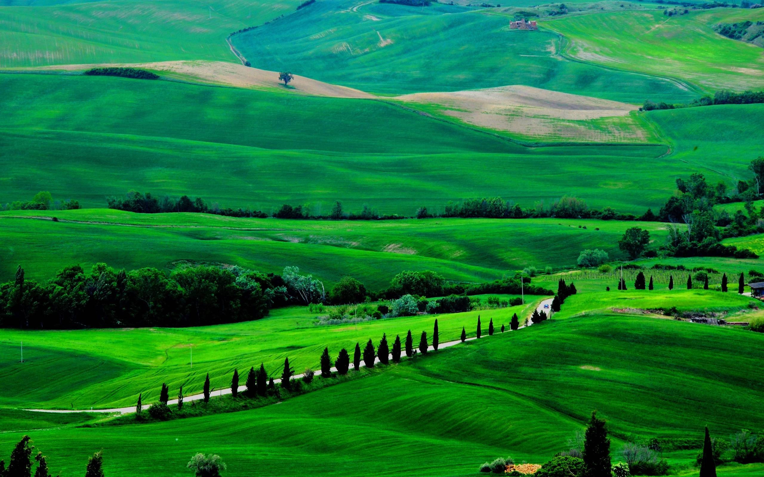 Fields trees italy road Tuscany wallpapers