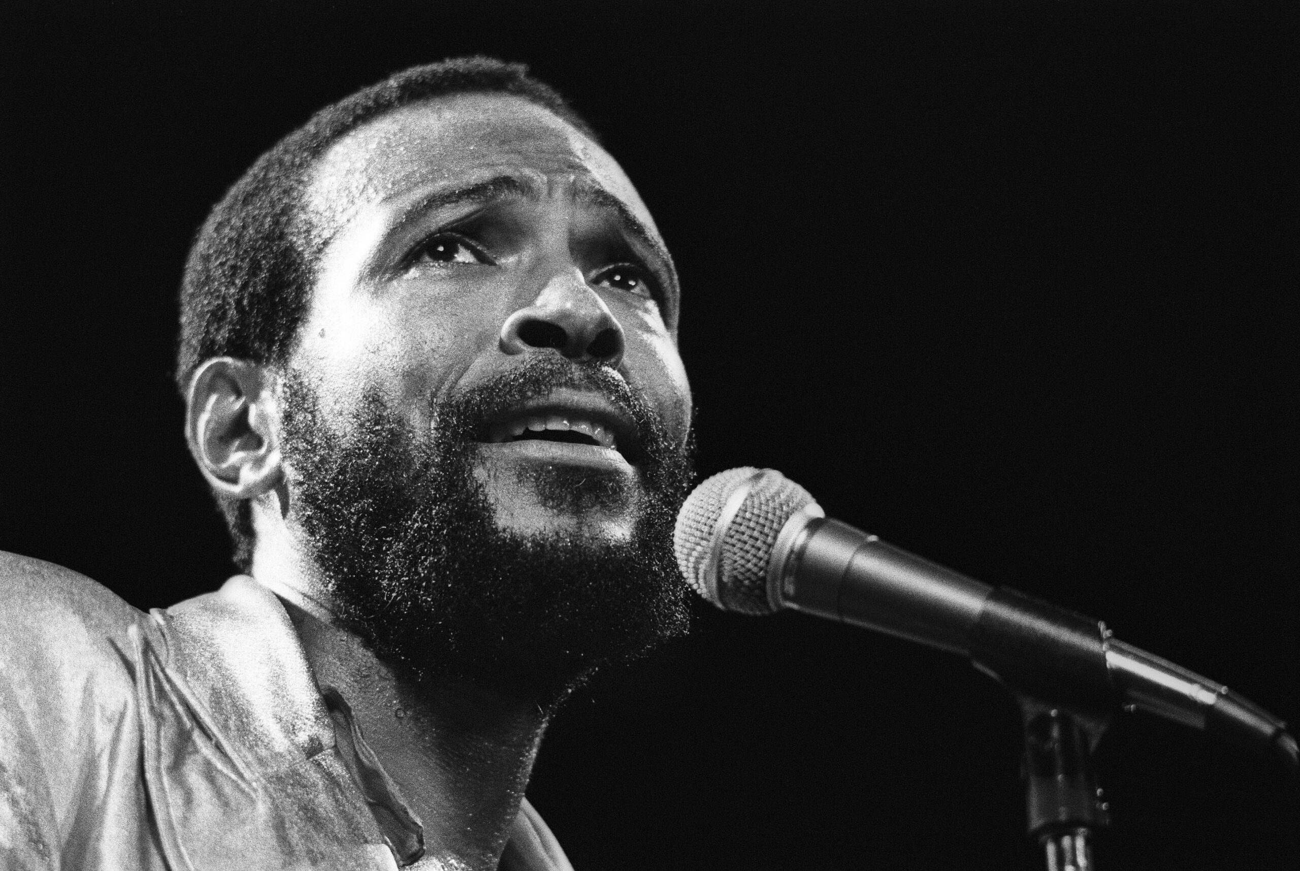 More Beautiful Marvin Gaye Wallpapers