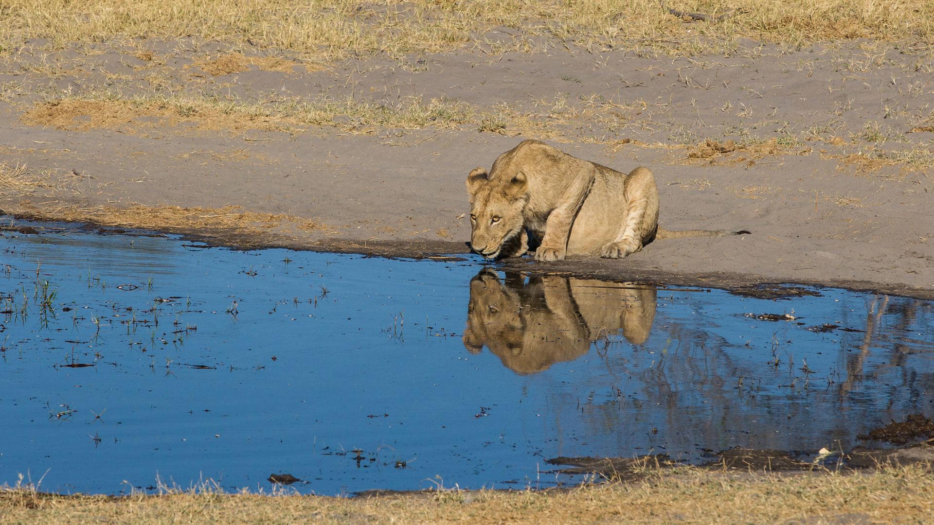 Botswana Safari Parks & Attractions