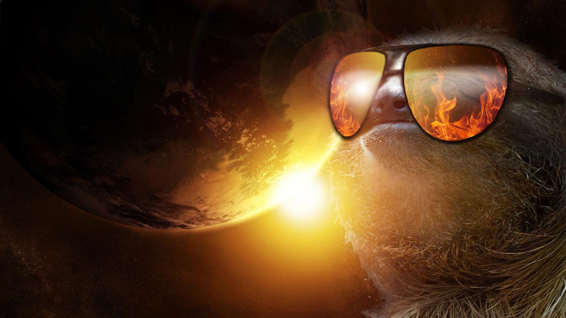 Animals For > Sloth Sunglasses Wallpapers