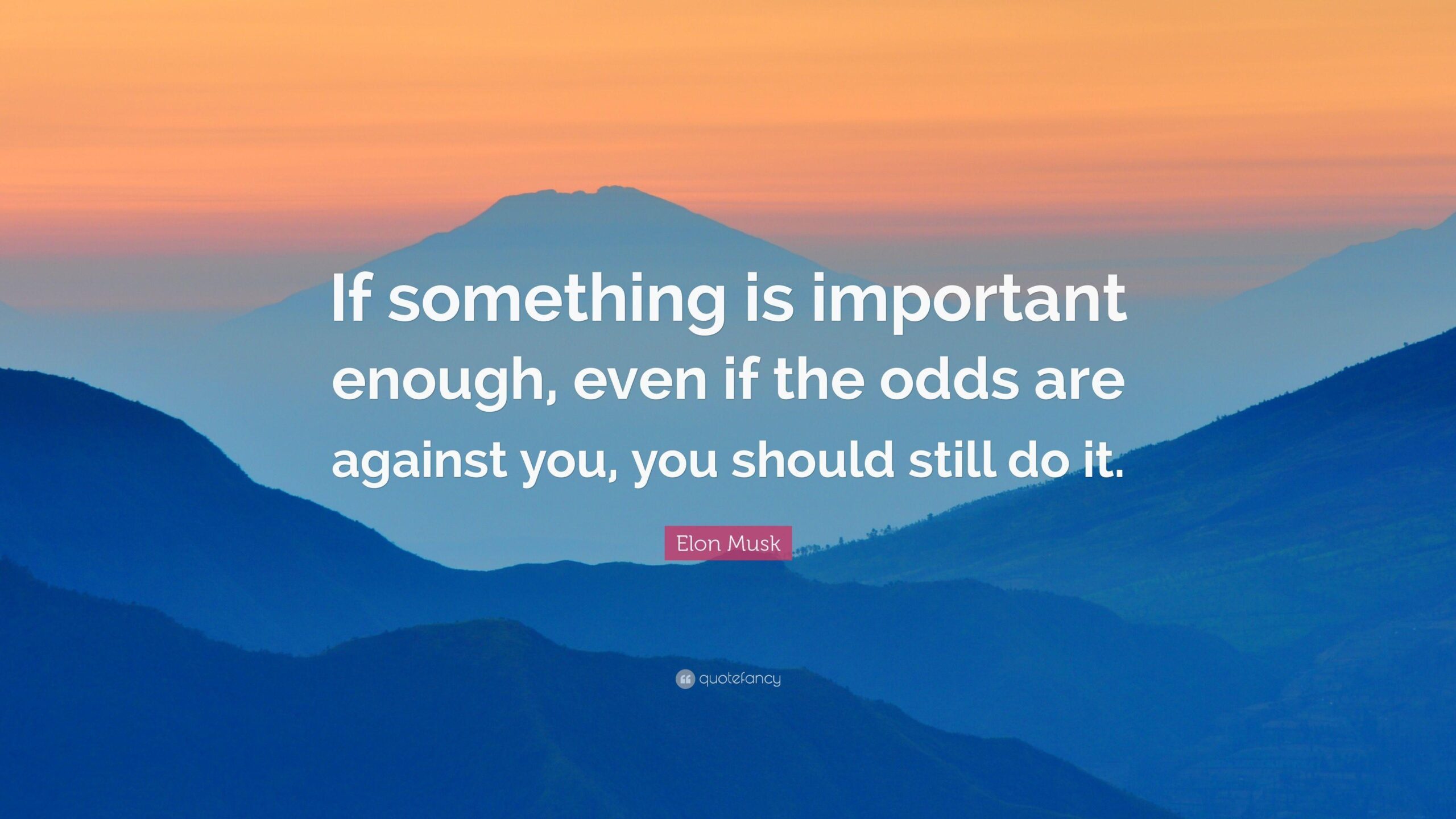 Elon Musk Quote: “If something is important enough, even if the