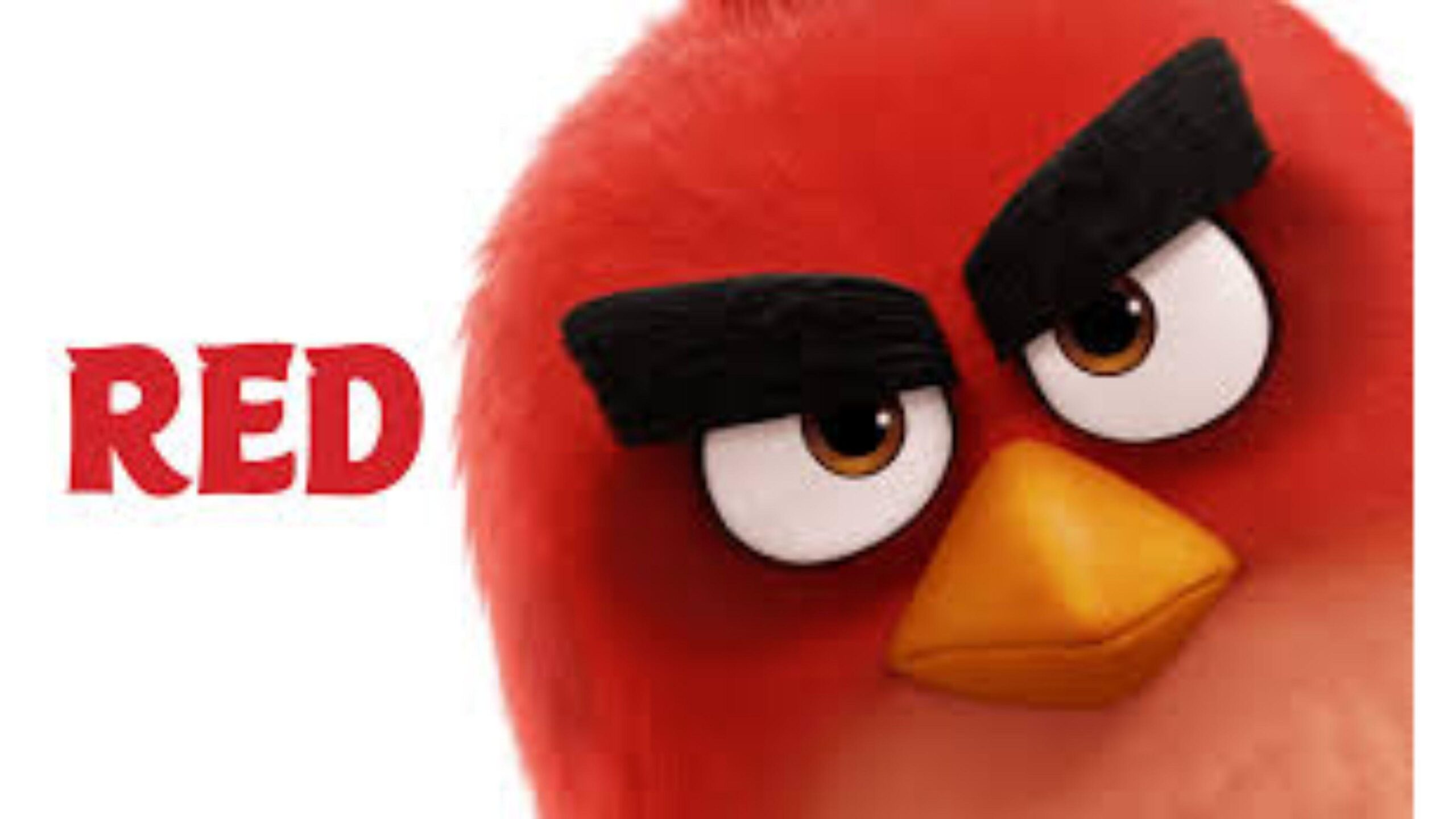 RED Angry Birds Movie Wallpapers, HD RED Angry Birds Movie