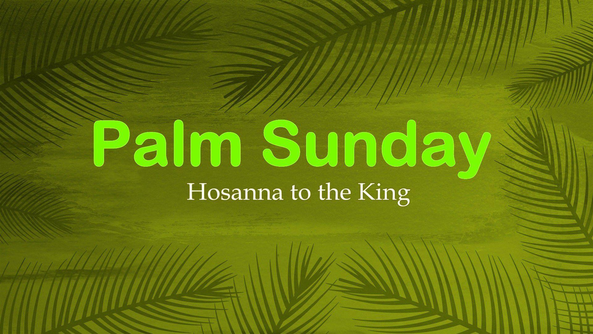 Palm Sunday Hd Wallpapers