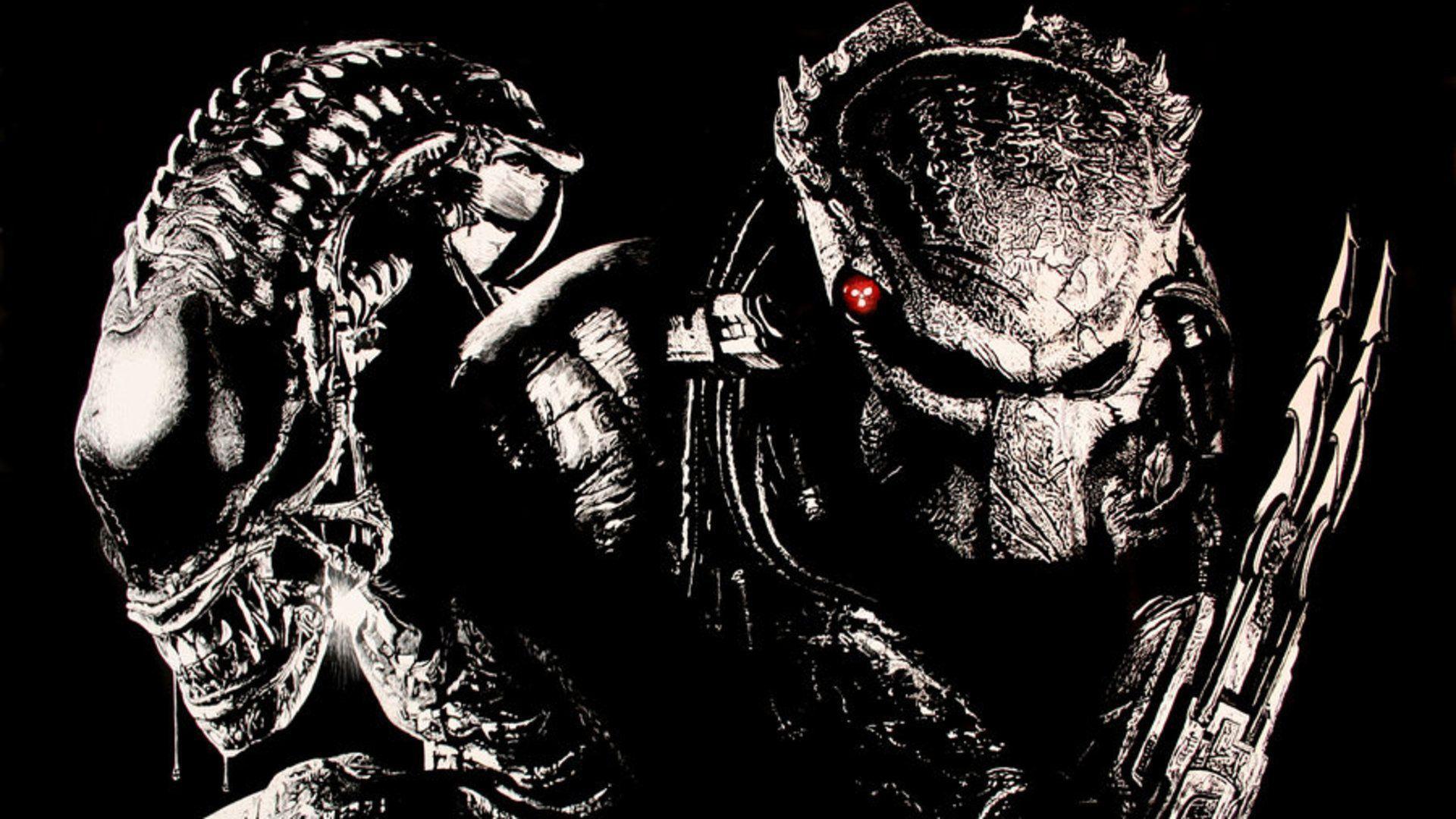 Image For > Alien Vs Predator Wallpapers Hd