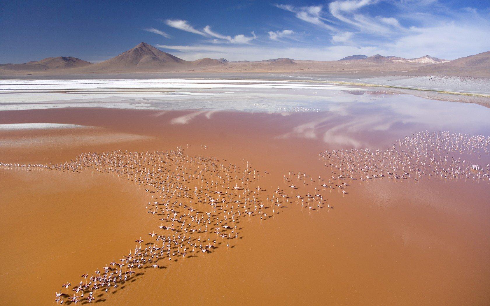 Laguna Colorada,