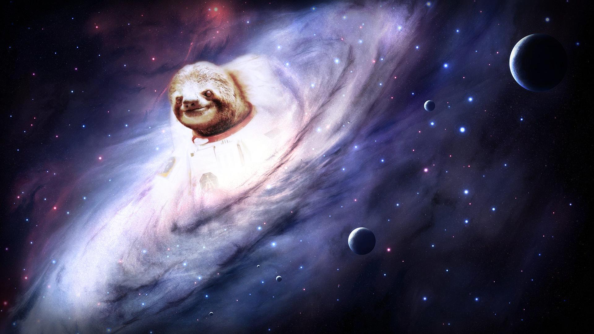 Sloth Wallpapers