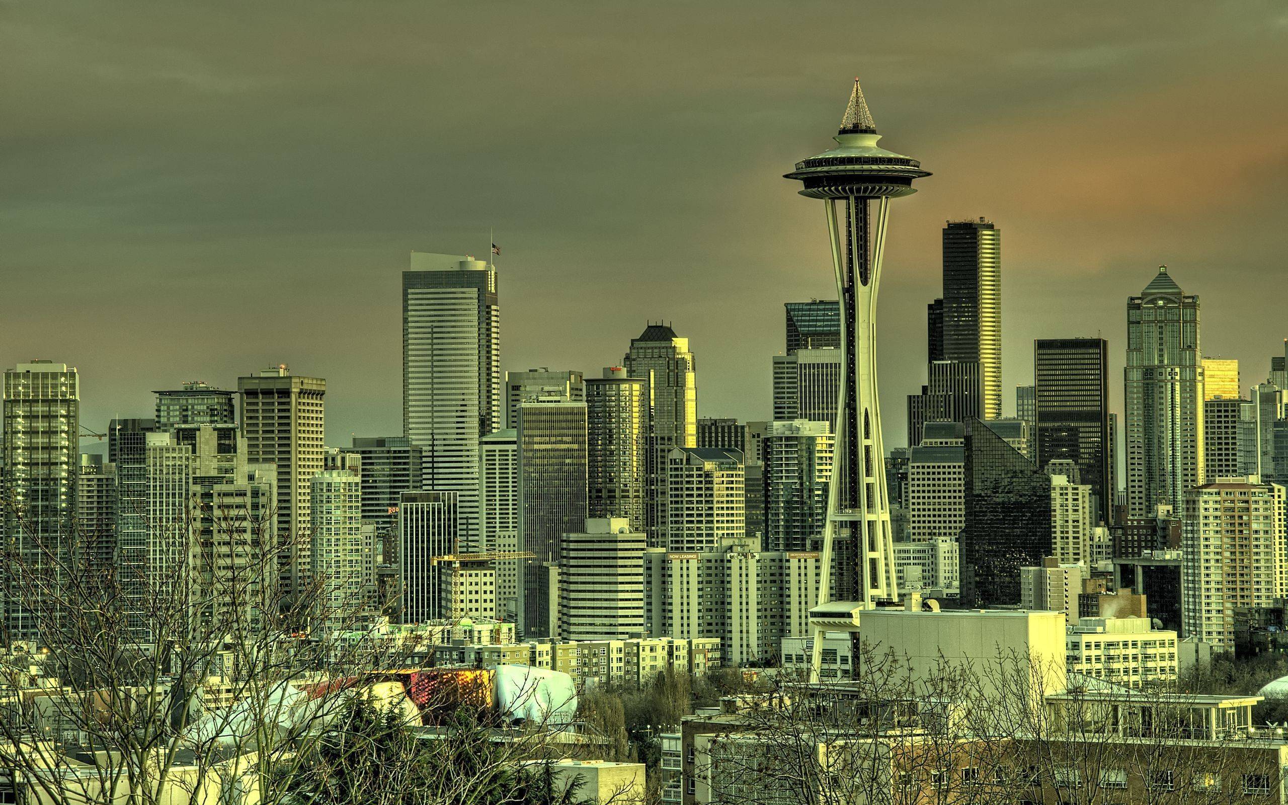 Gloomy Space Needle Free Wallpapers Desktop Mac Wa High