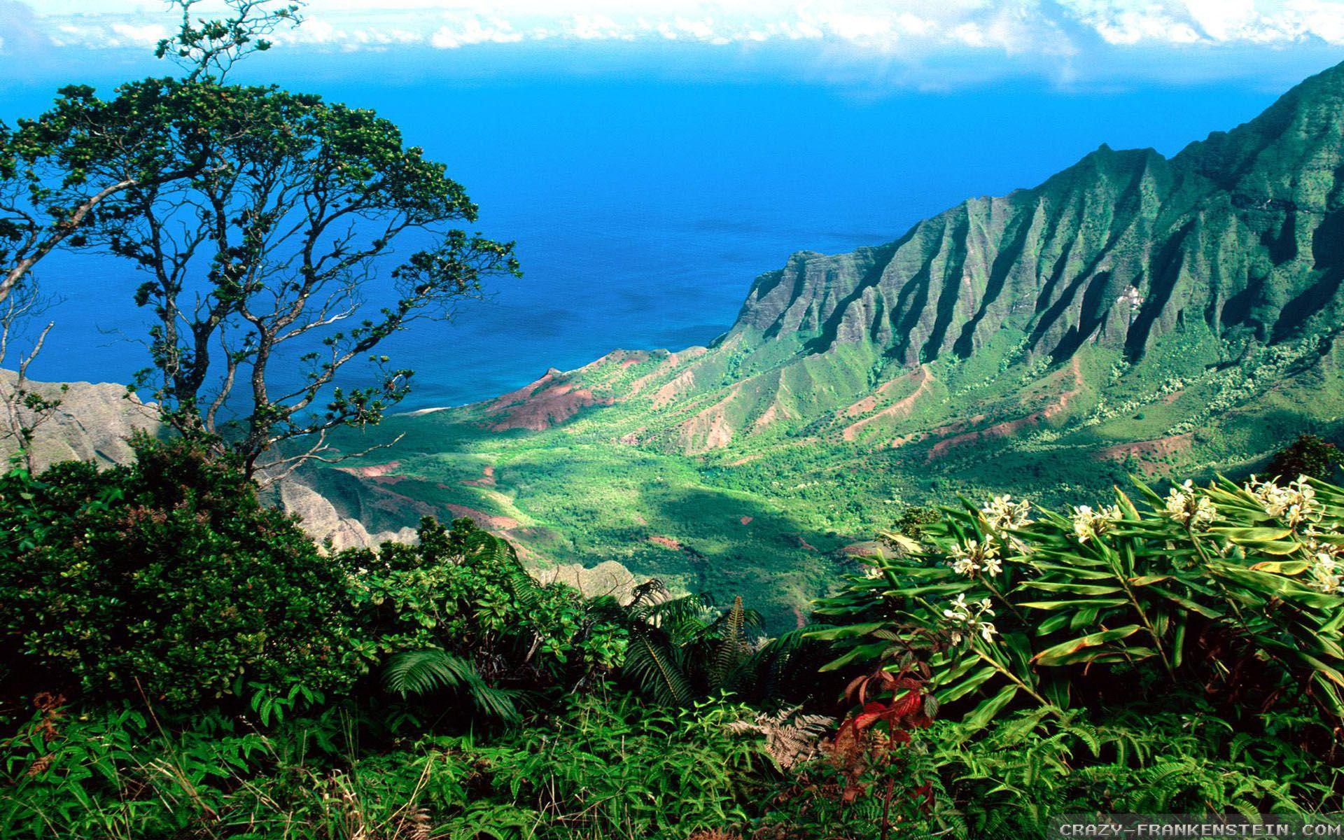 Hawaii Image by Corben, Hawaii Wallpapers