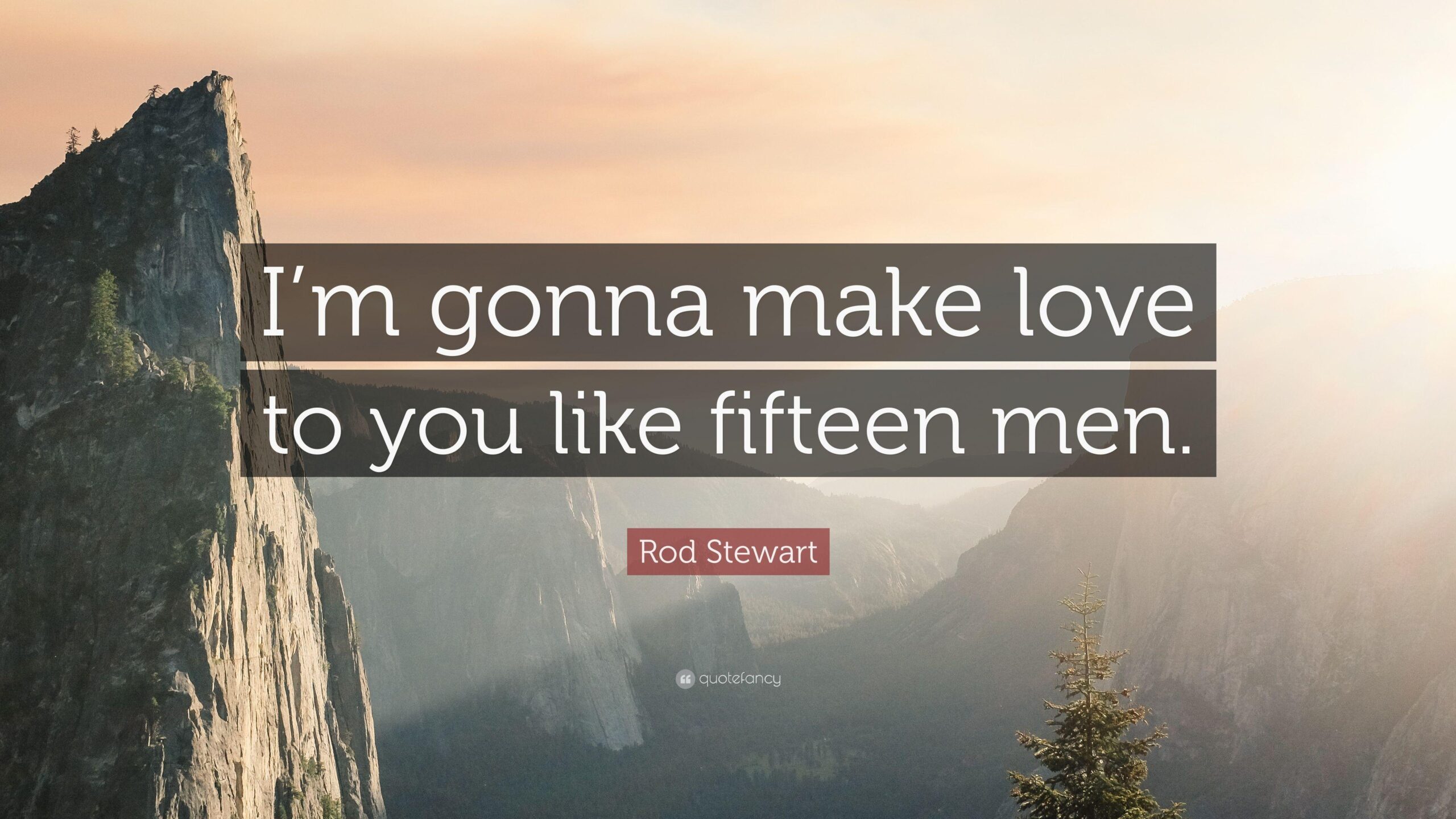 Rod Stewart Quote: “I’m gonna make love to you like fifteen men