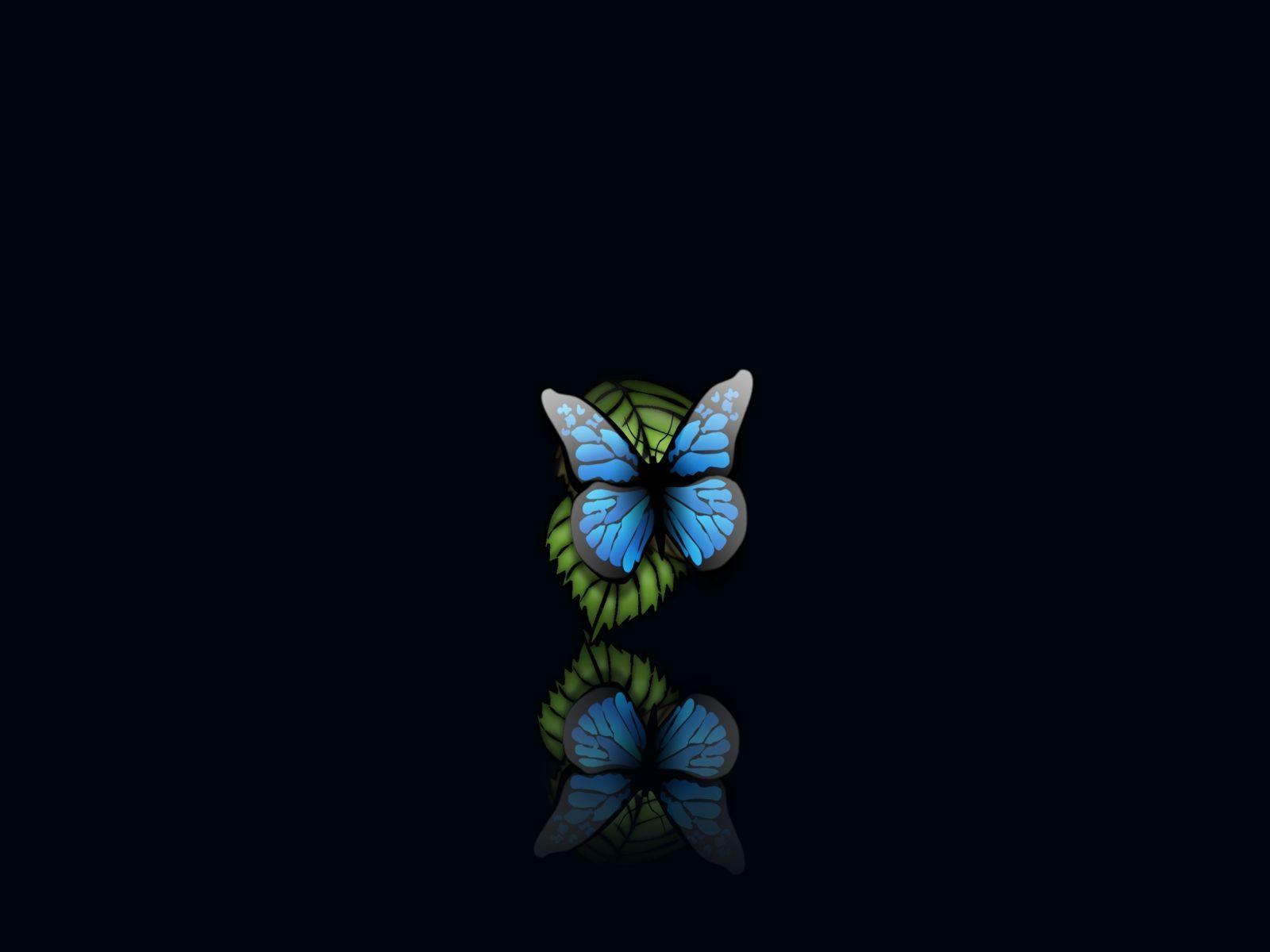 Butterfly wallpapers hd with beauty,butterfly wallpapers image with