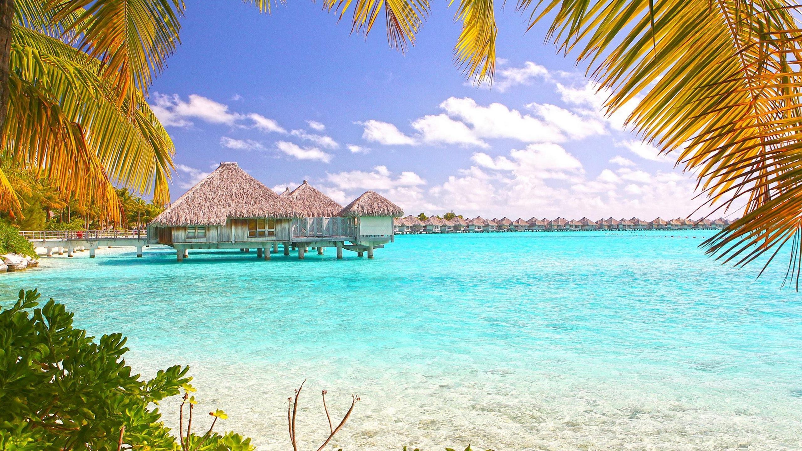 Tropical Beach Bora Bora Polynesia Desktop Wallpapers : Wallpapers13