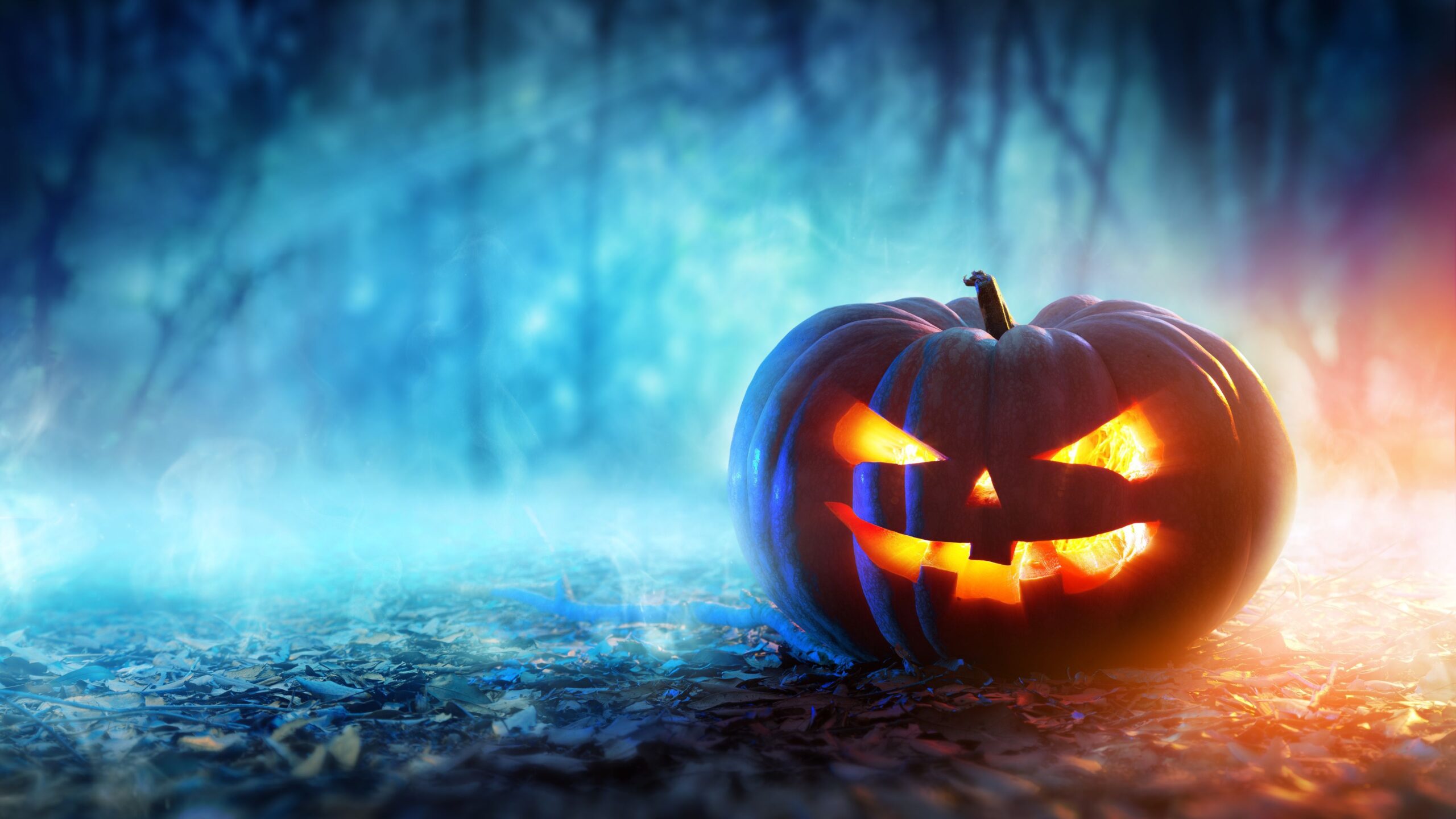 Halloween 4k pumpkin wallpapers, holidays wallpapers, hd