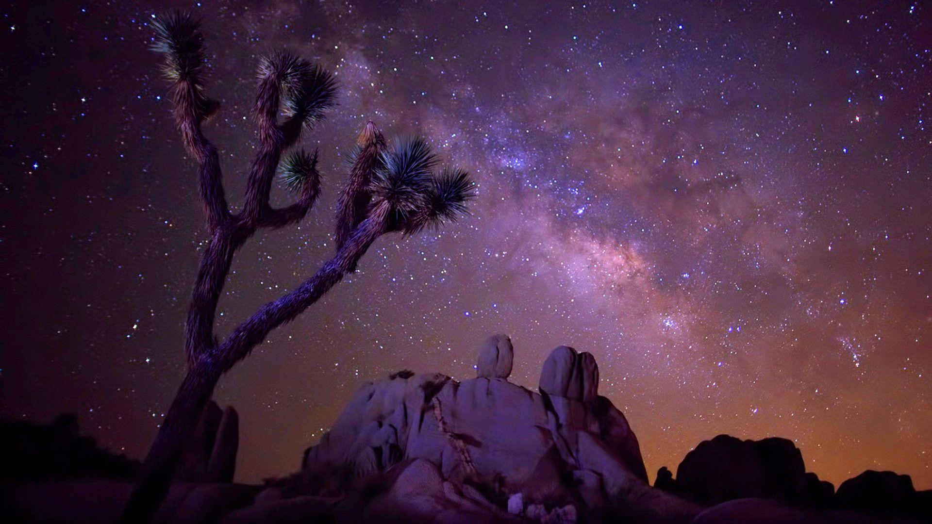 The Star Sky Milky Way Desert Area With Rock Cactus Joshua Tree