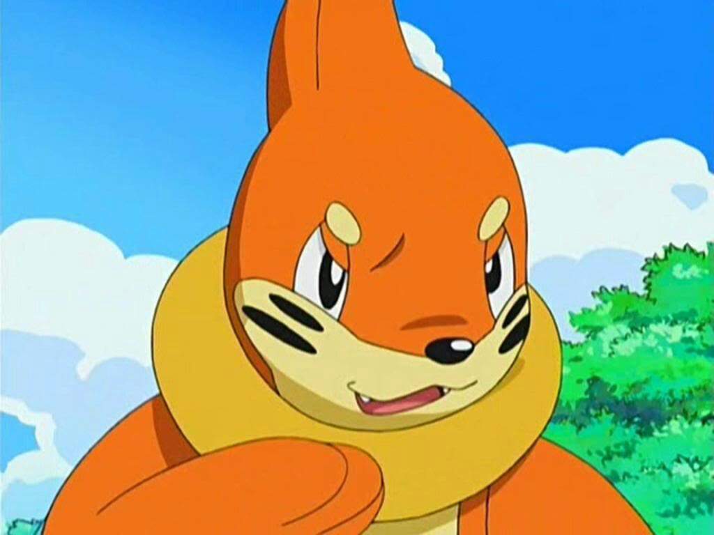 Buizel