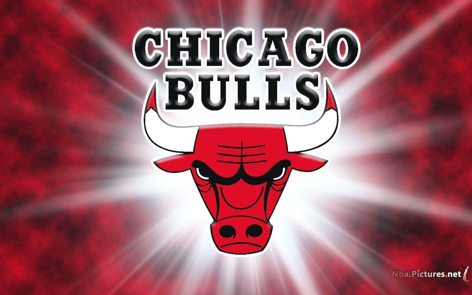 Bulls Wallpapers