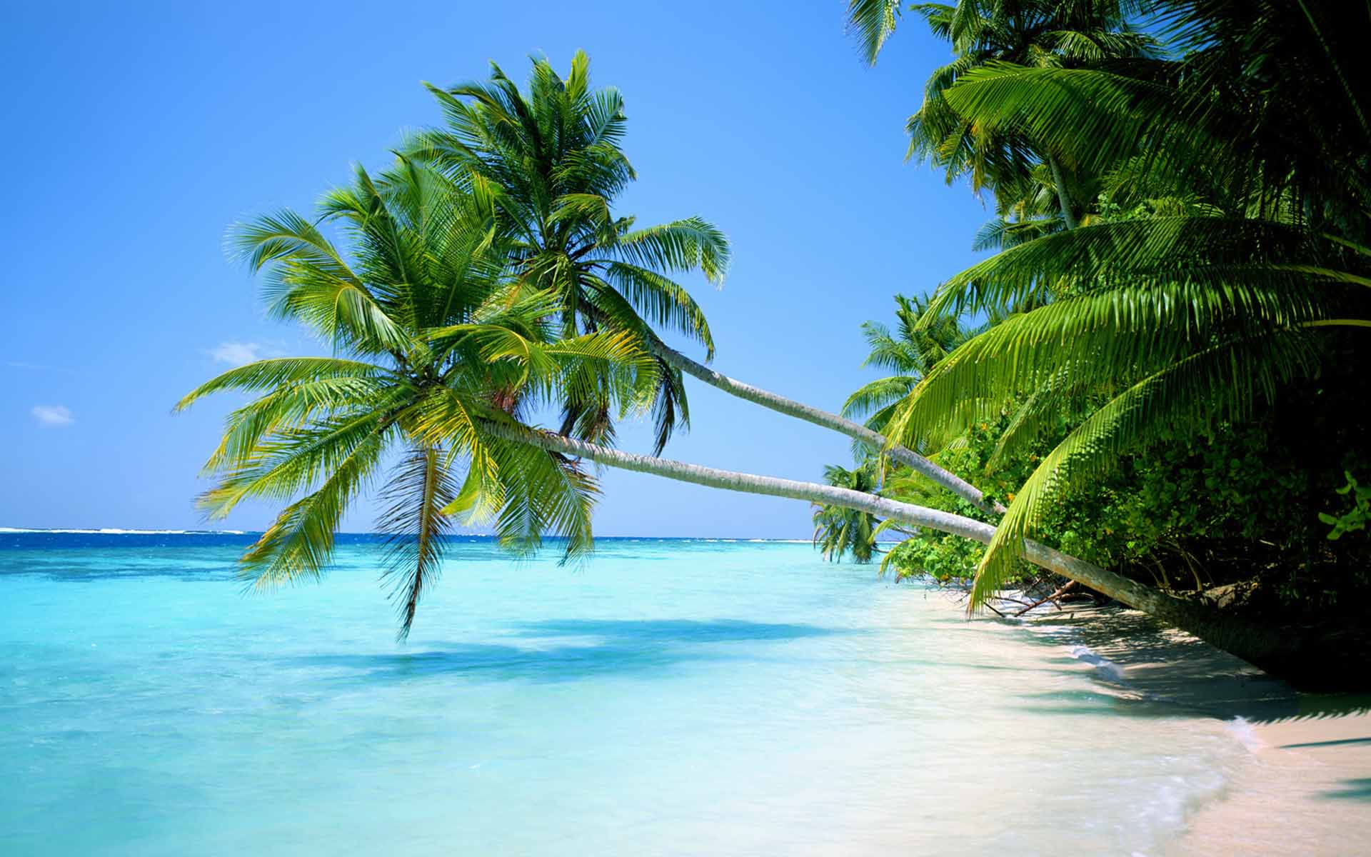 Tropical Beach Wallpapers Widescreen Hd Pictures 4 HD Wallpapers