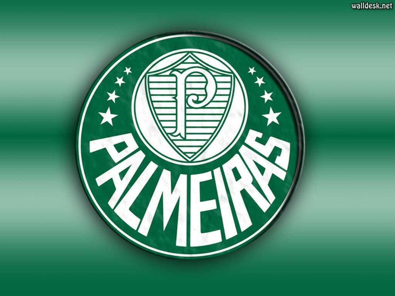 Papel de parede Palmeiras fotos grátis