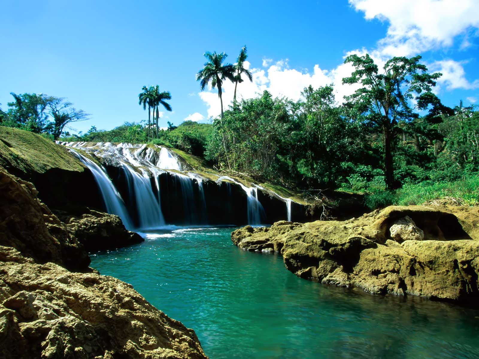 10 fondos de naturaleza