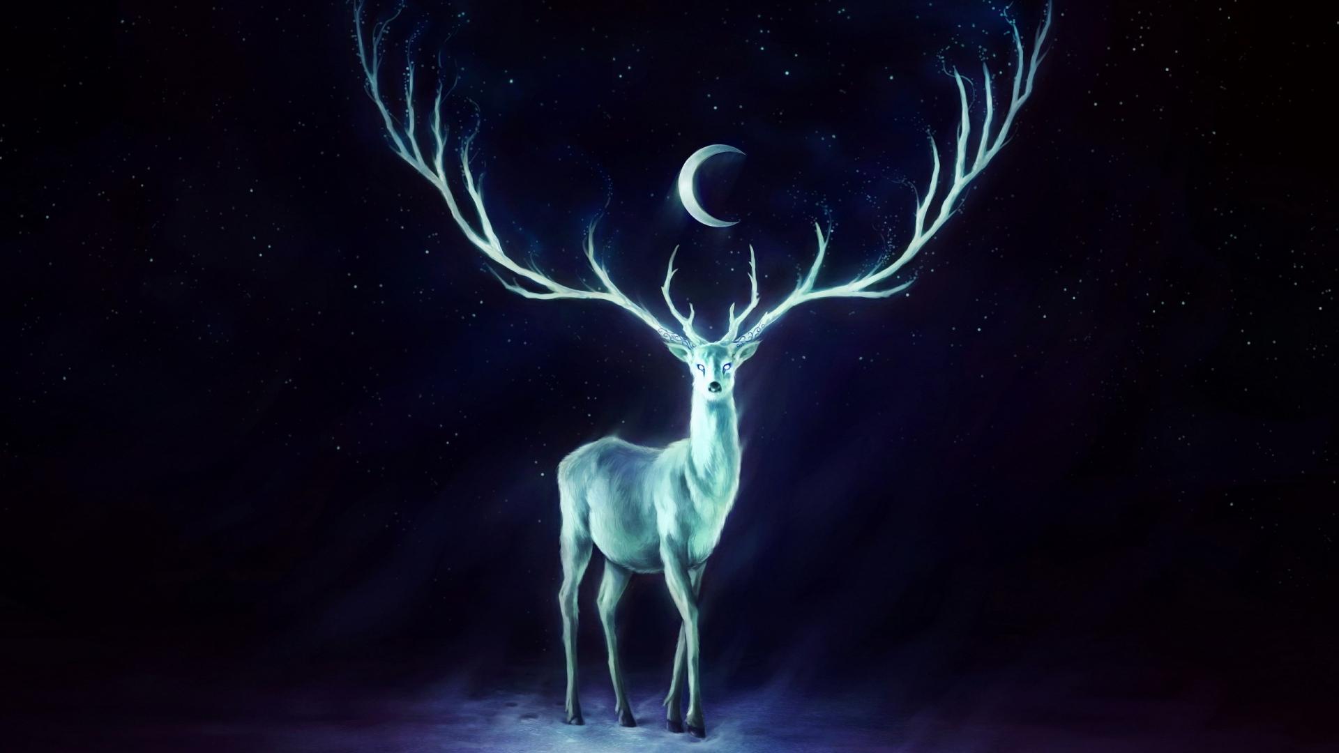 Wallpaper’s Collection: «Deer Wallpapers»