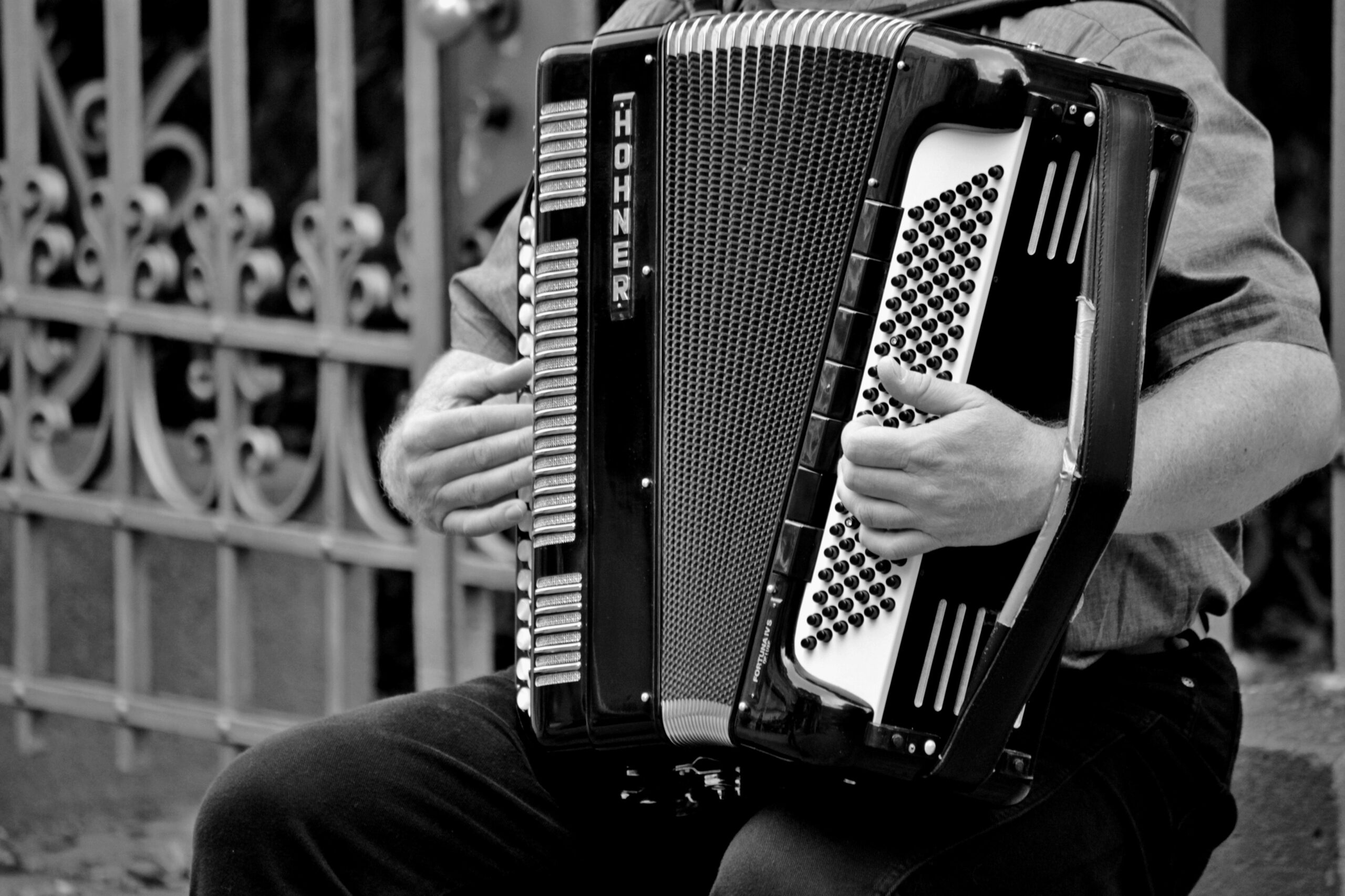 Engaging Accordion Photos