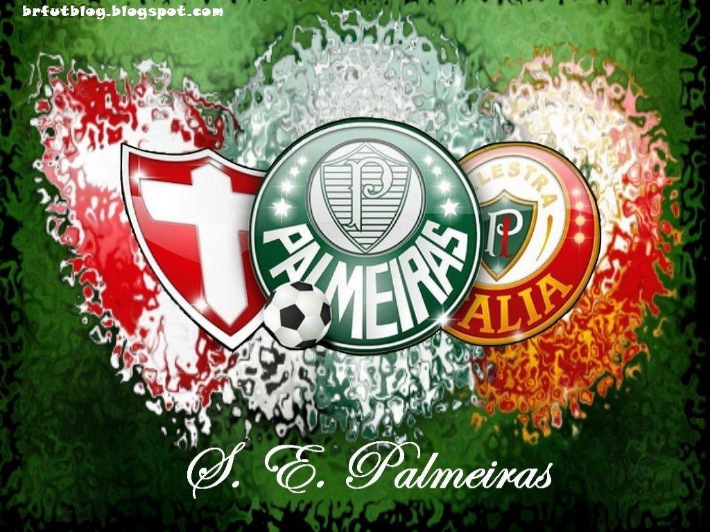 Wallpapers Palmeiras Papel De Parede Do