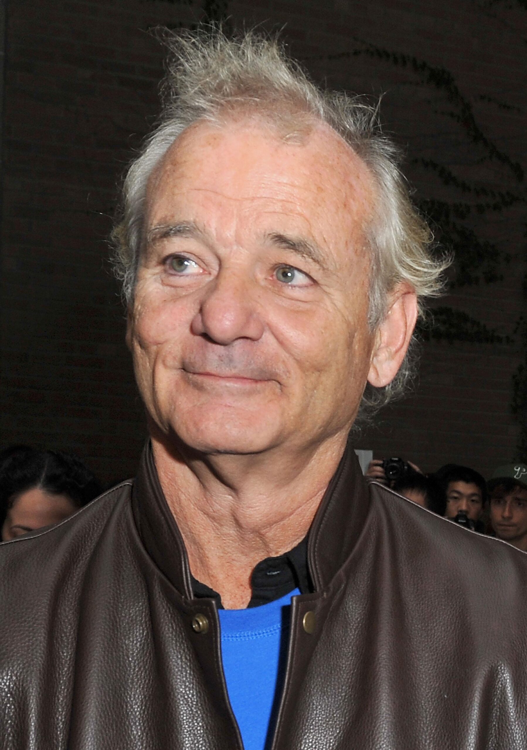 25 Celebrities Desktop Wallpapers » 926145 Bill Murray Pics