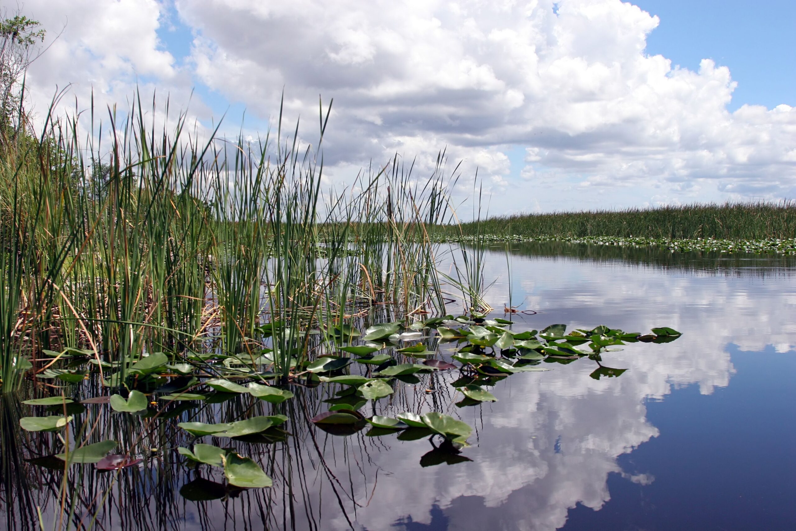 Everglades National Park