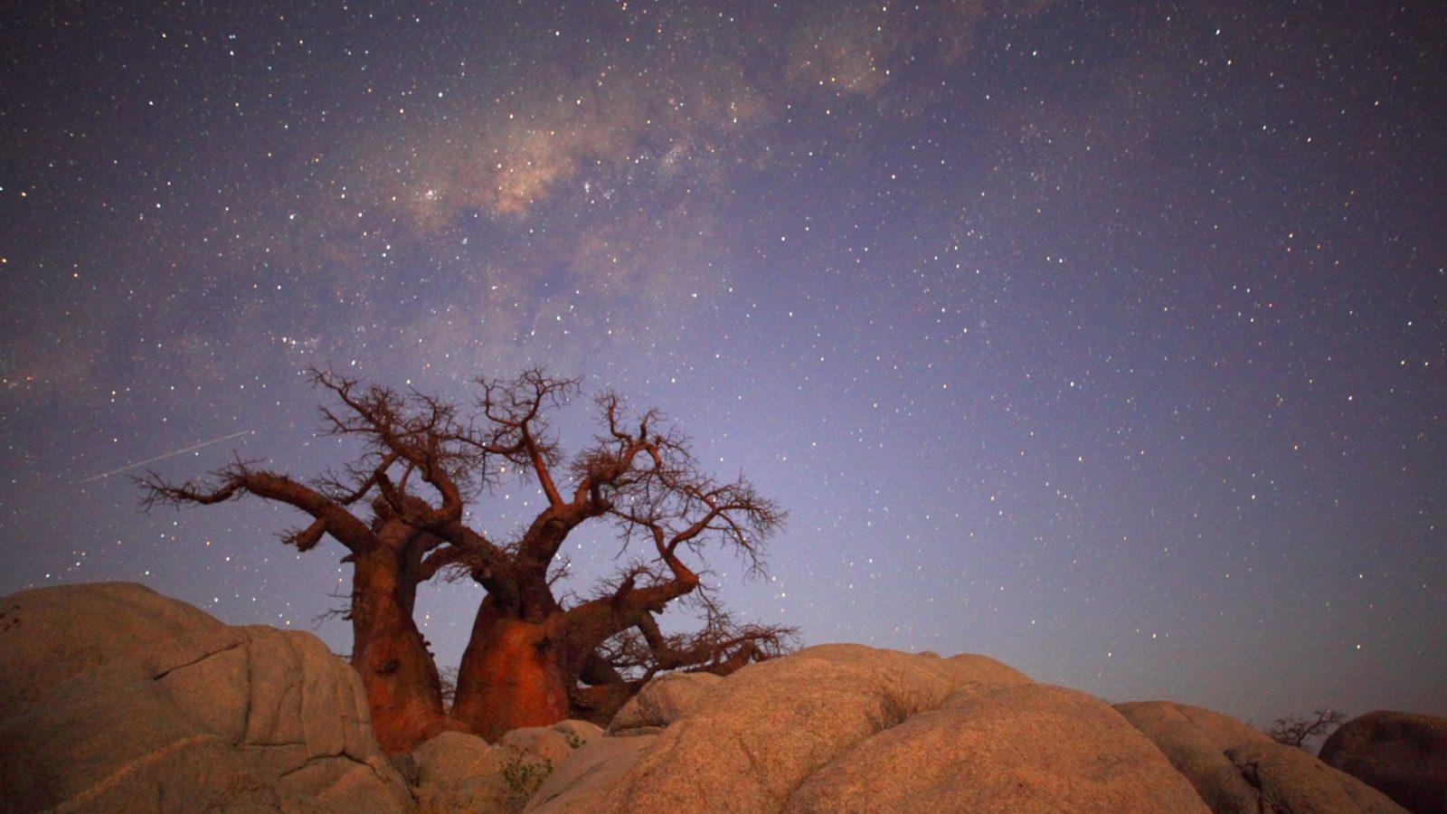 Discover Makgadikgadi Pans