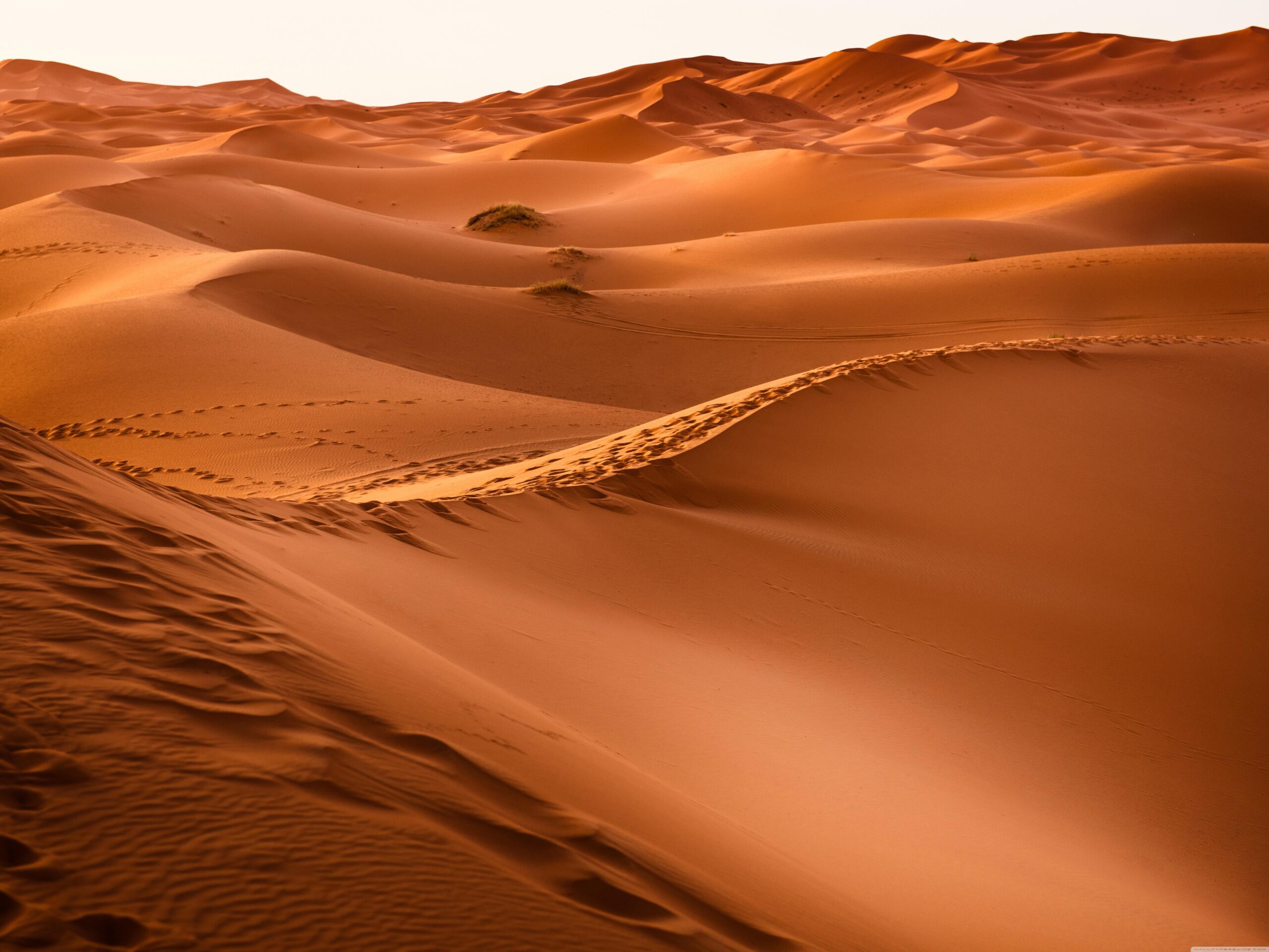 Sahara Wallpapers 4K