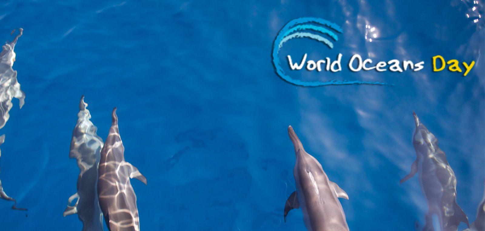 45 Best World Ocean Day Wish Pictures And Image