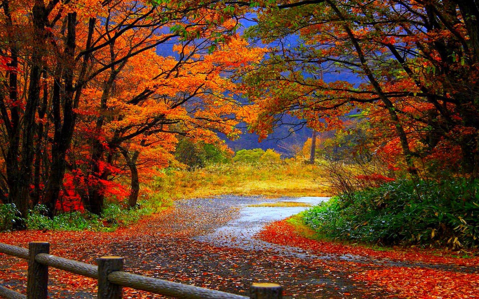 Fall Wallpapers HD