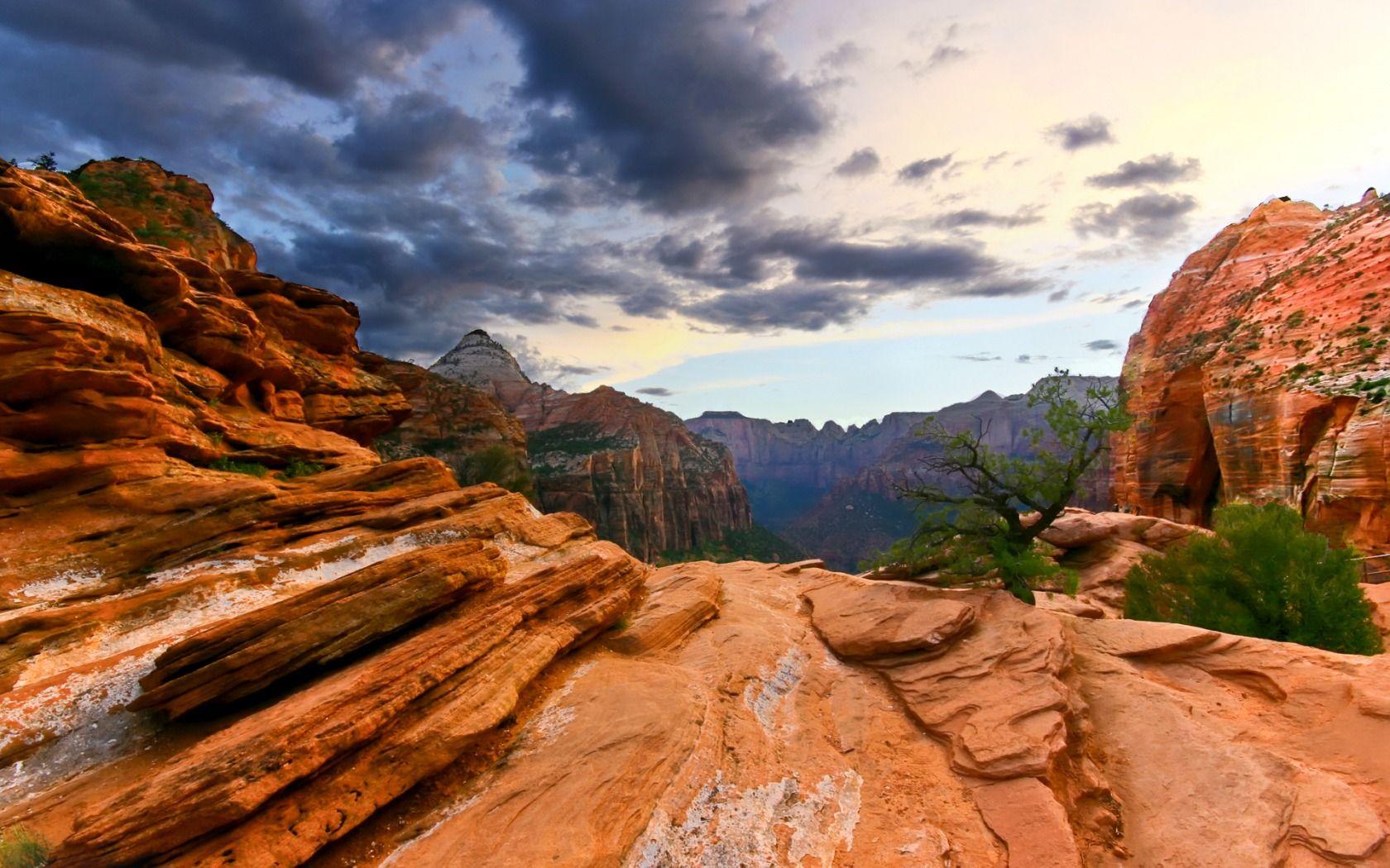 Zion National Park Wallpapers Landscape Nature Wallpapers in