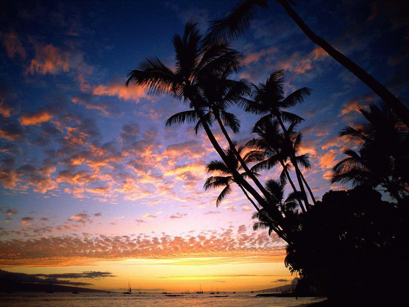 Wallpapers For > Hawaiian Sunset Backgrounds