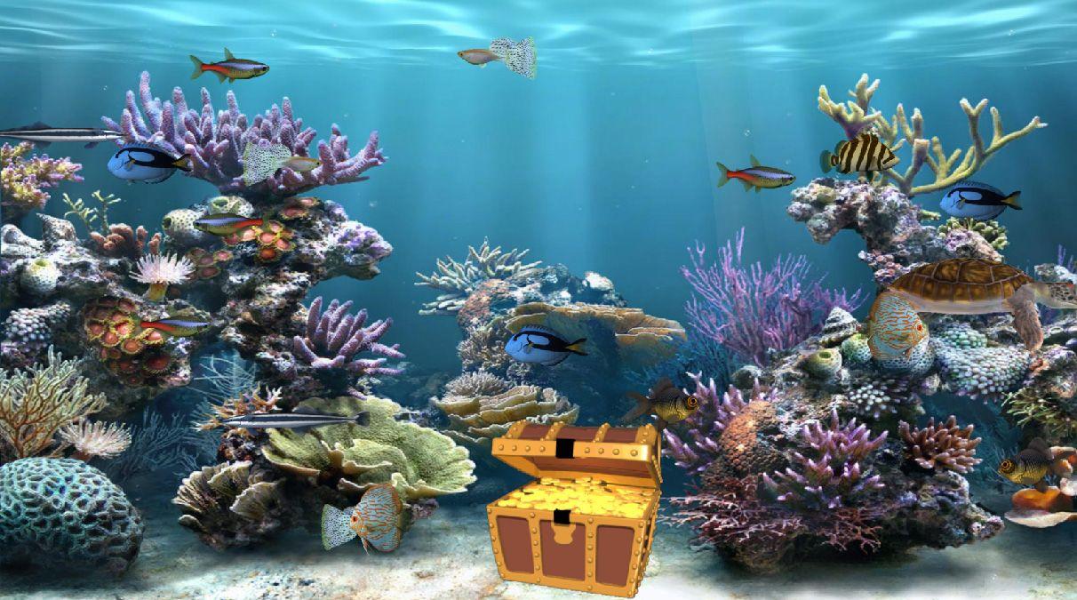 Aquarium Wallpapers 27