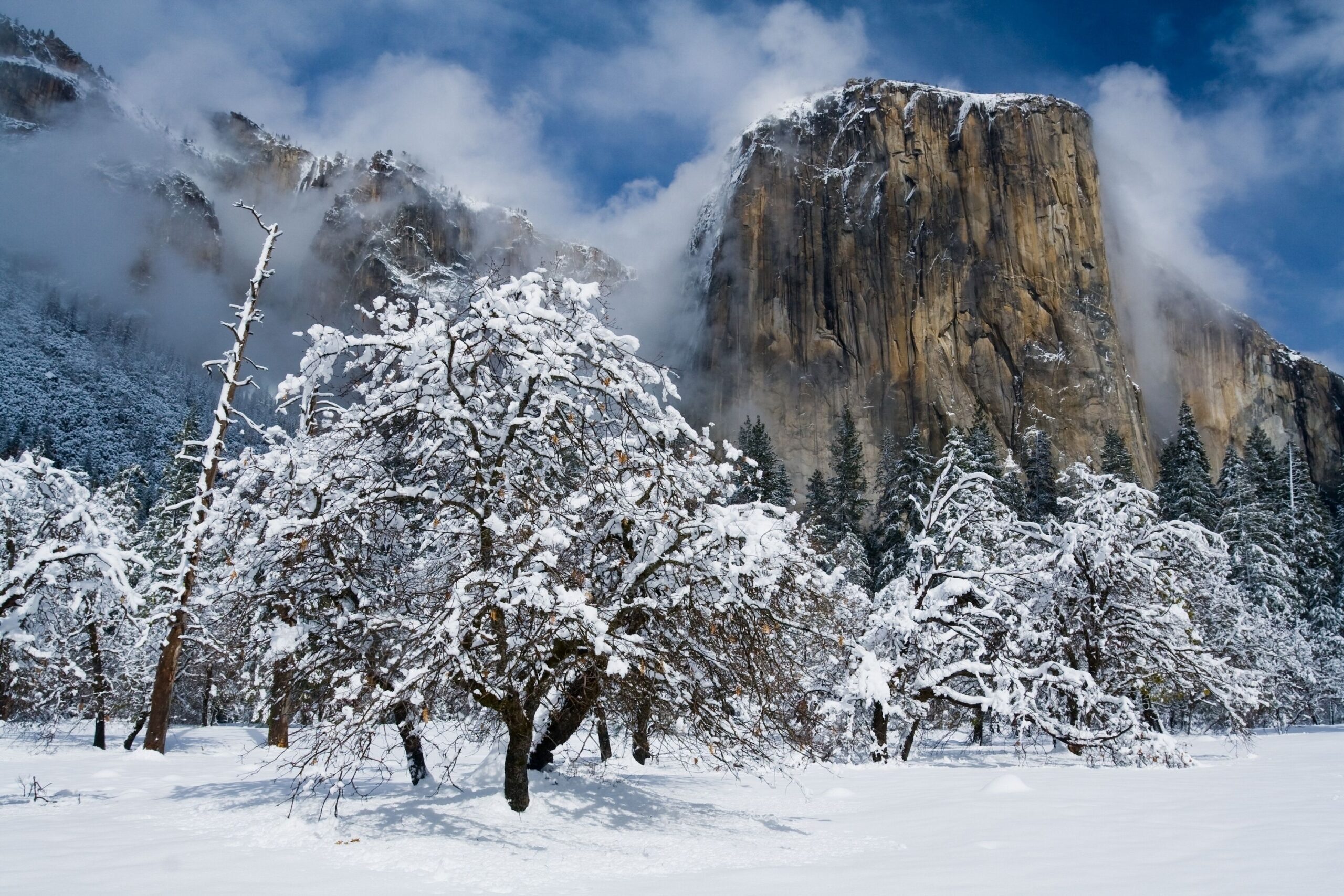 55 Yosemite National Park HD Wallpapers