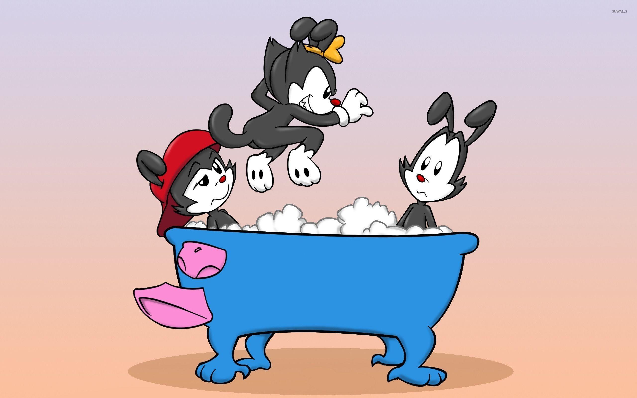 Animaniacs wallpapers