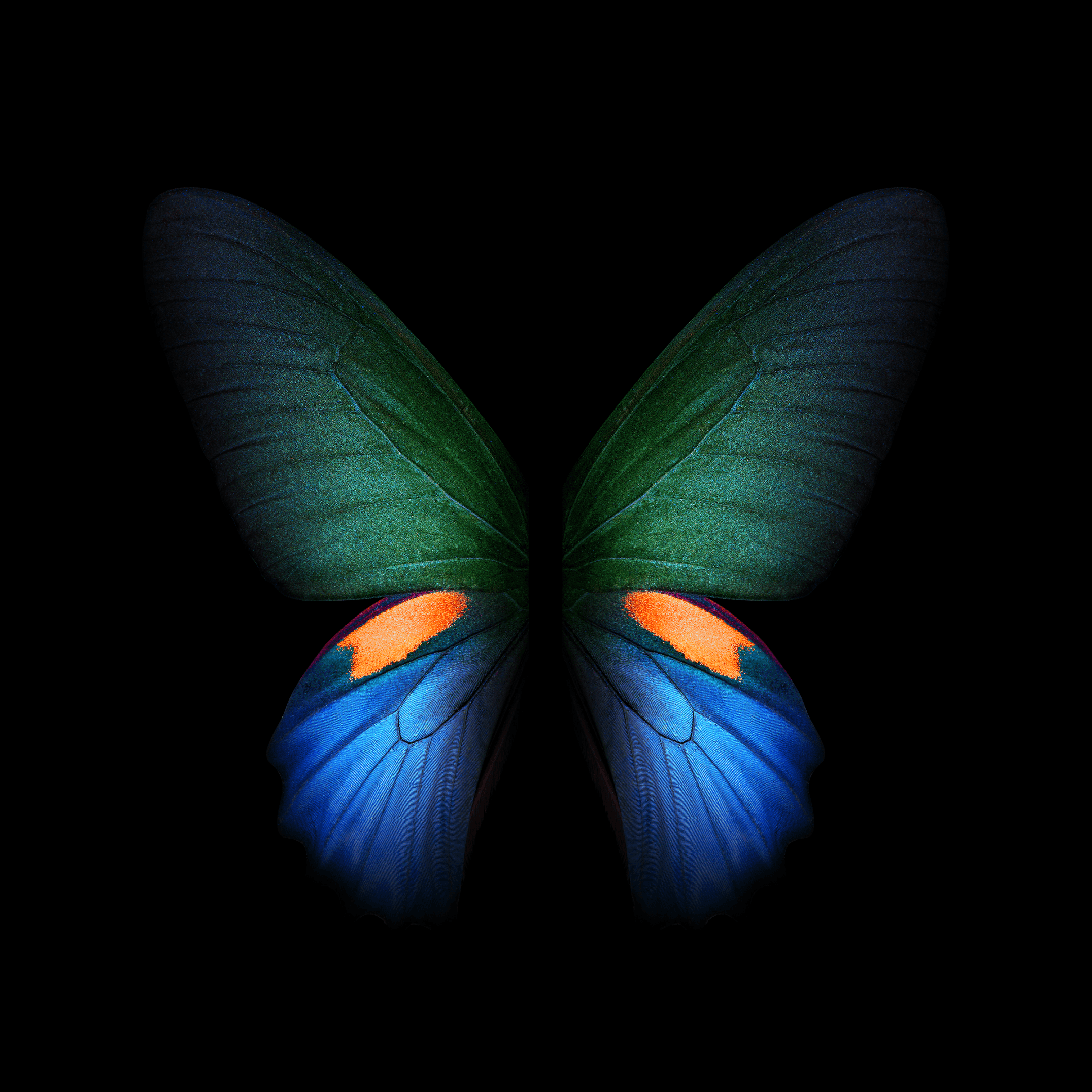 Download] Samsung Galaxy Fold Wallpapers In High Quality!