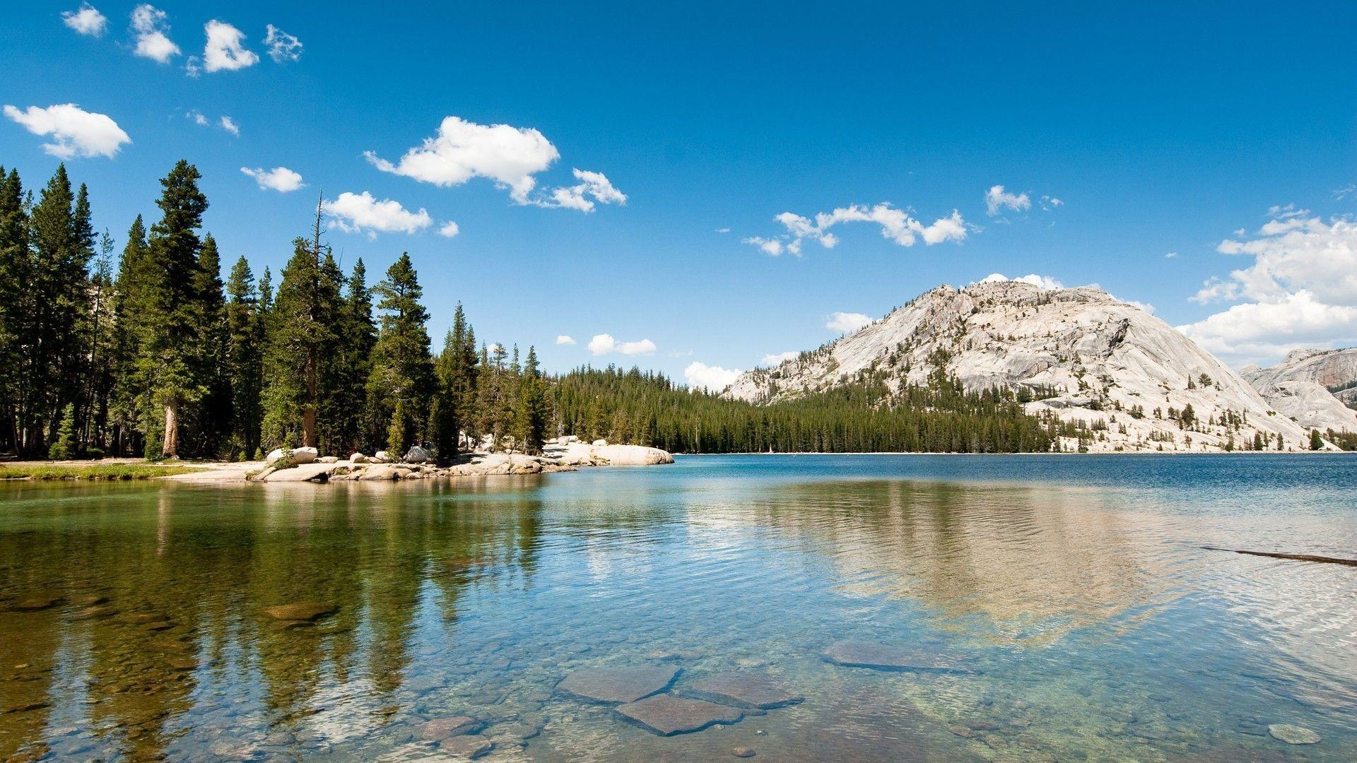 landscape nature lake hills forest pine trees yosemite national park