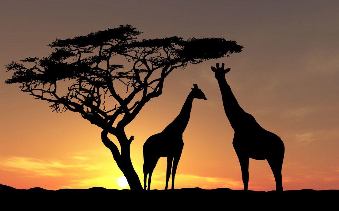 Unusual Cropped Africa Wallpapers : Desktopaper