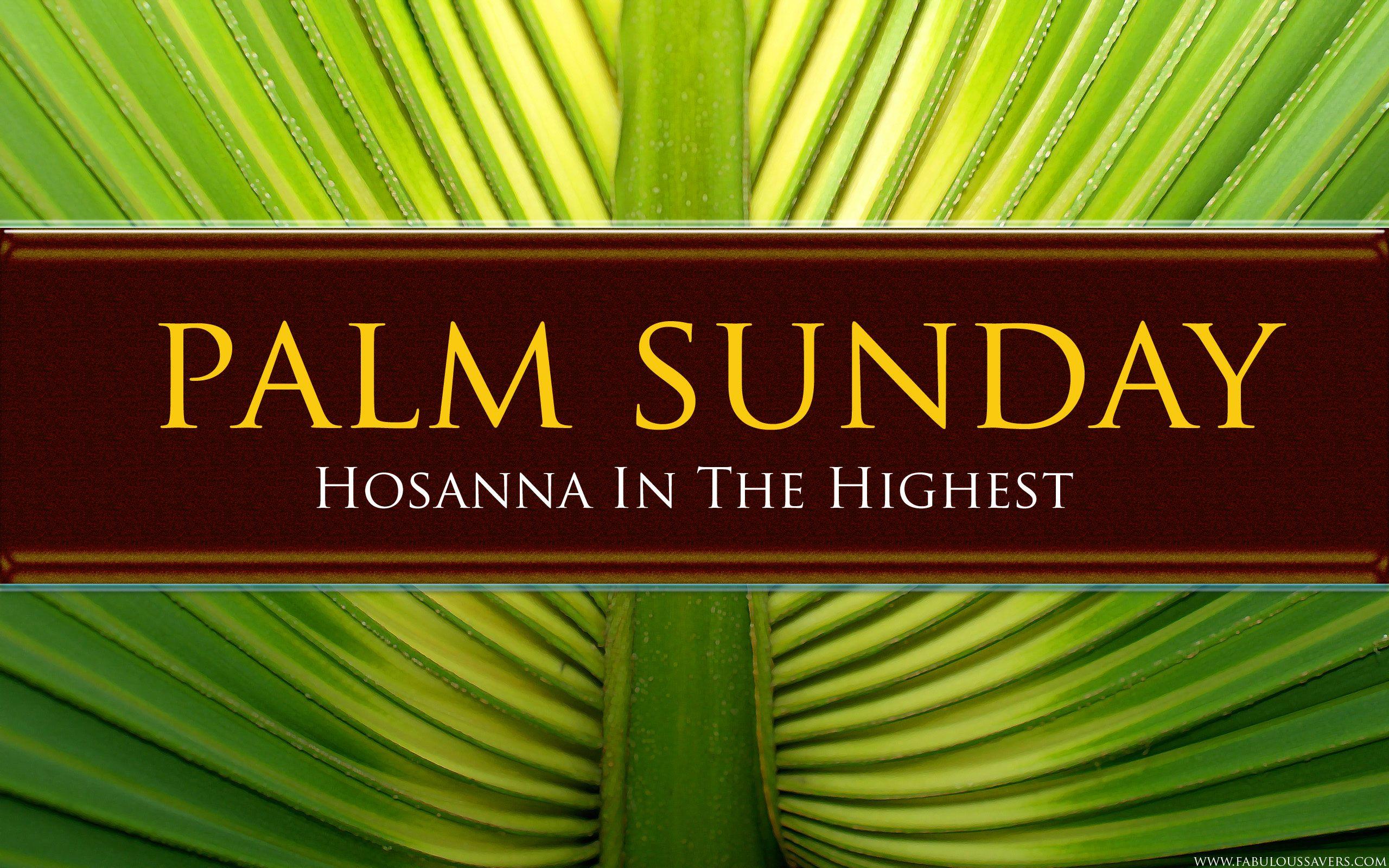 Palm Sunday 2014 Wallpapers Free Download HD Backgrounds