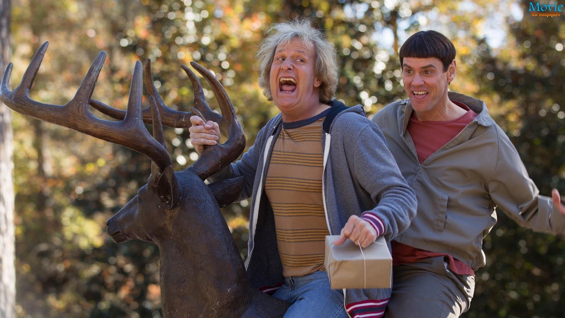 Best 52+ Dumb and Dumber Wallpapers on HipWallpapers